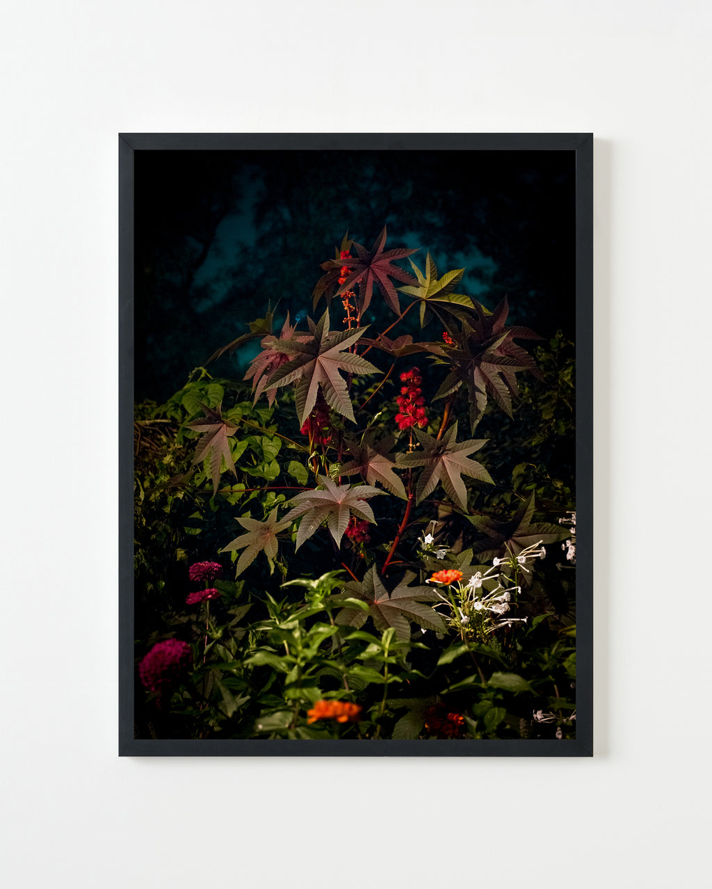 Photography by Anna Beeke titled "Midnight in the Garden #40" - 1.