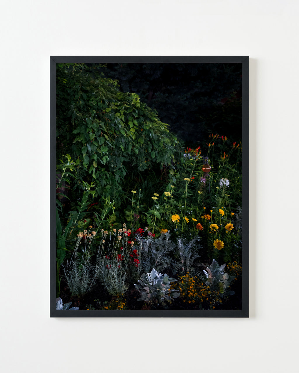 Photography by Anna Beeke titled "Midnight in the Garden #82" - 1.