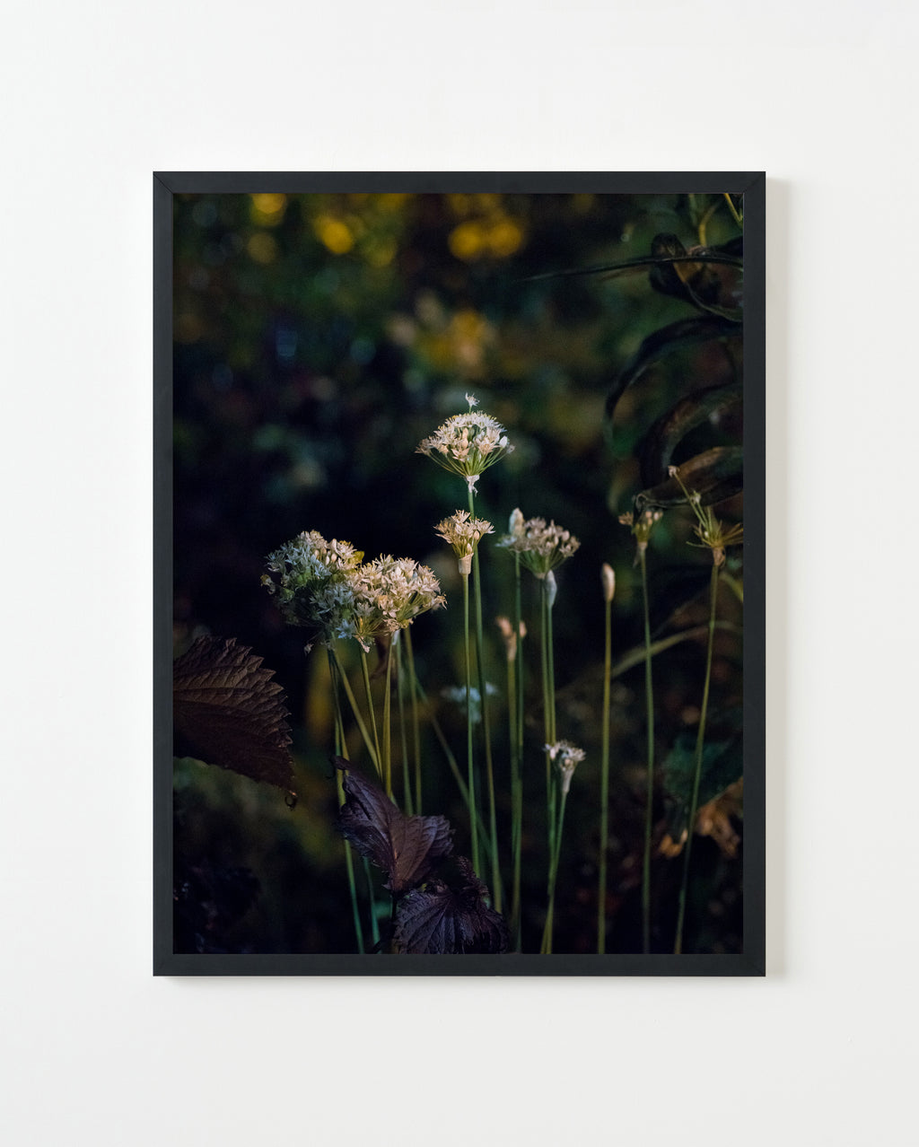 Photography by Anna Beeke titled "Midnight in the Garden #151" - 1.