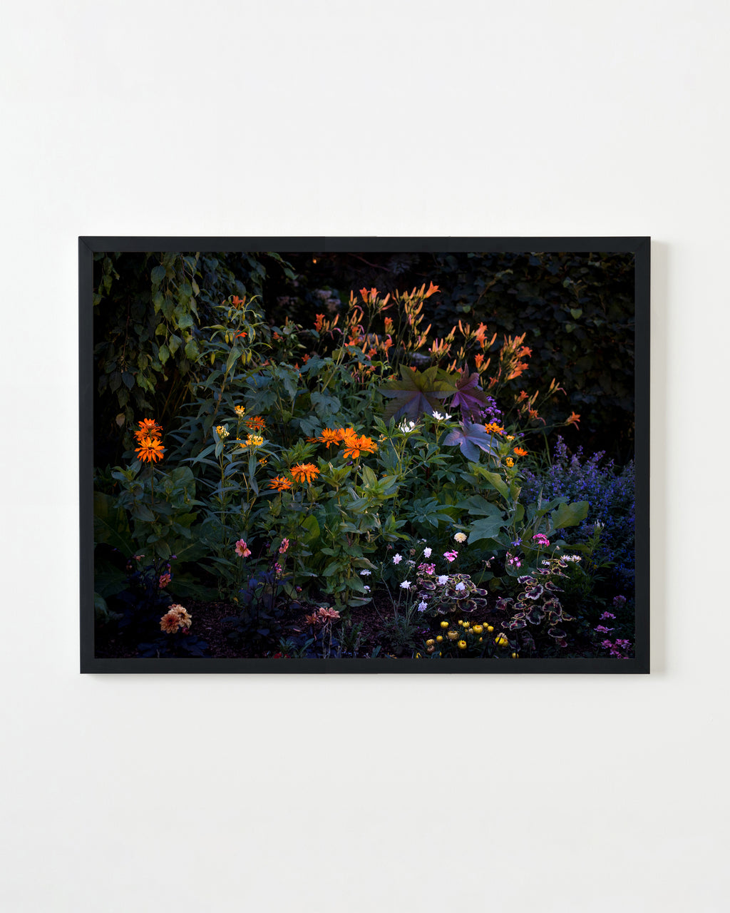 Photography by Anna Beeke titled "Midnight in the Garden #212" - 1.