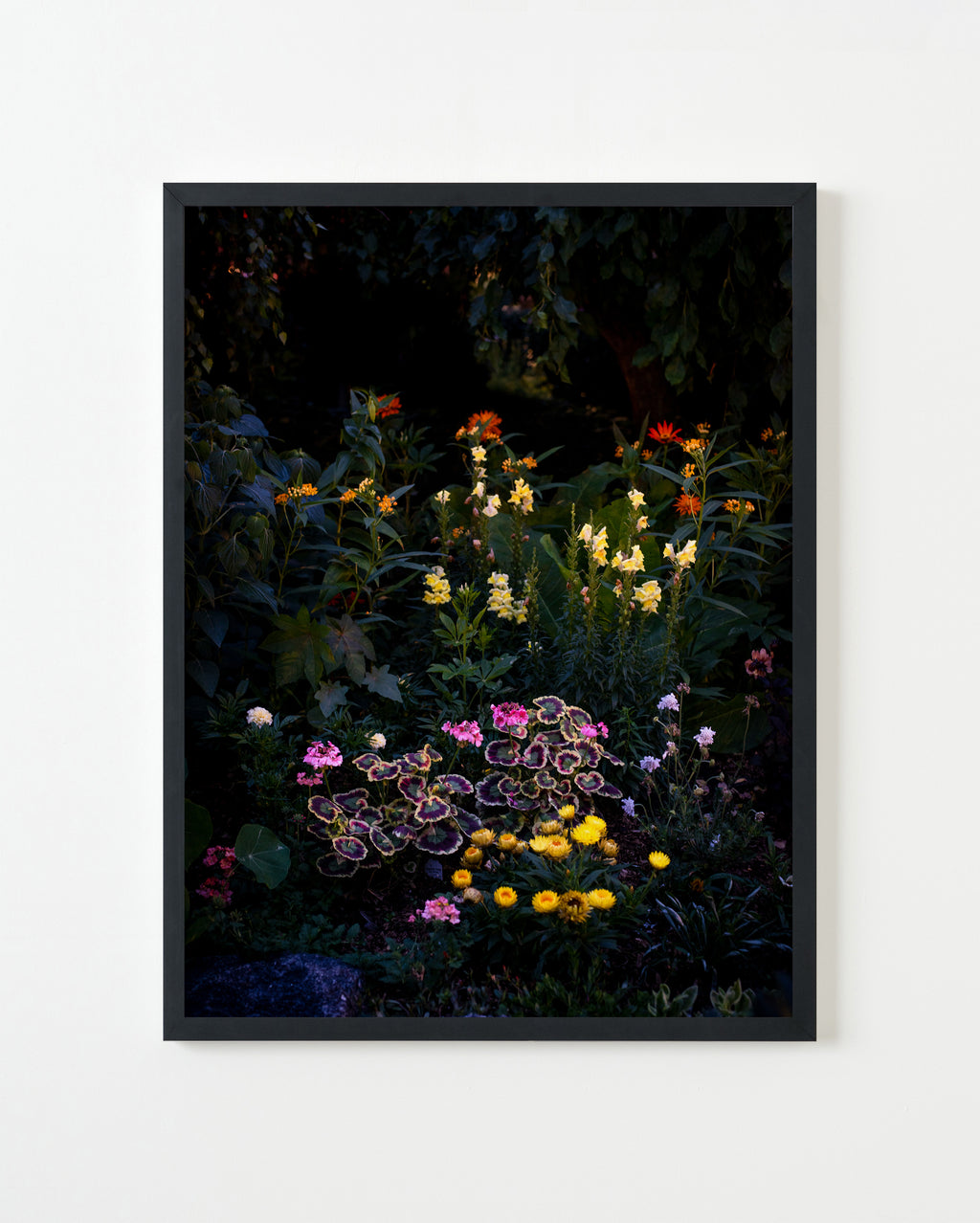 Photography by Anna Beeke titled "Midnight in the Garden #213" - 1.