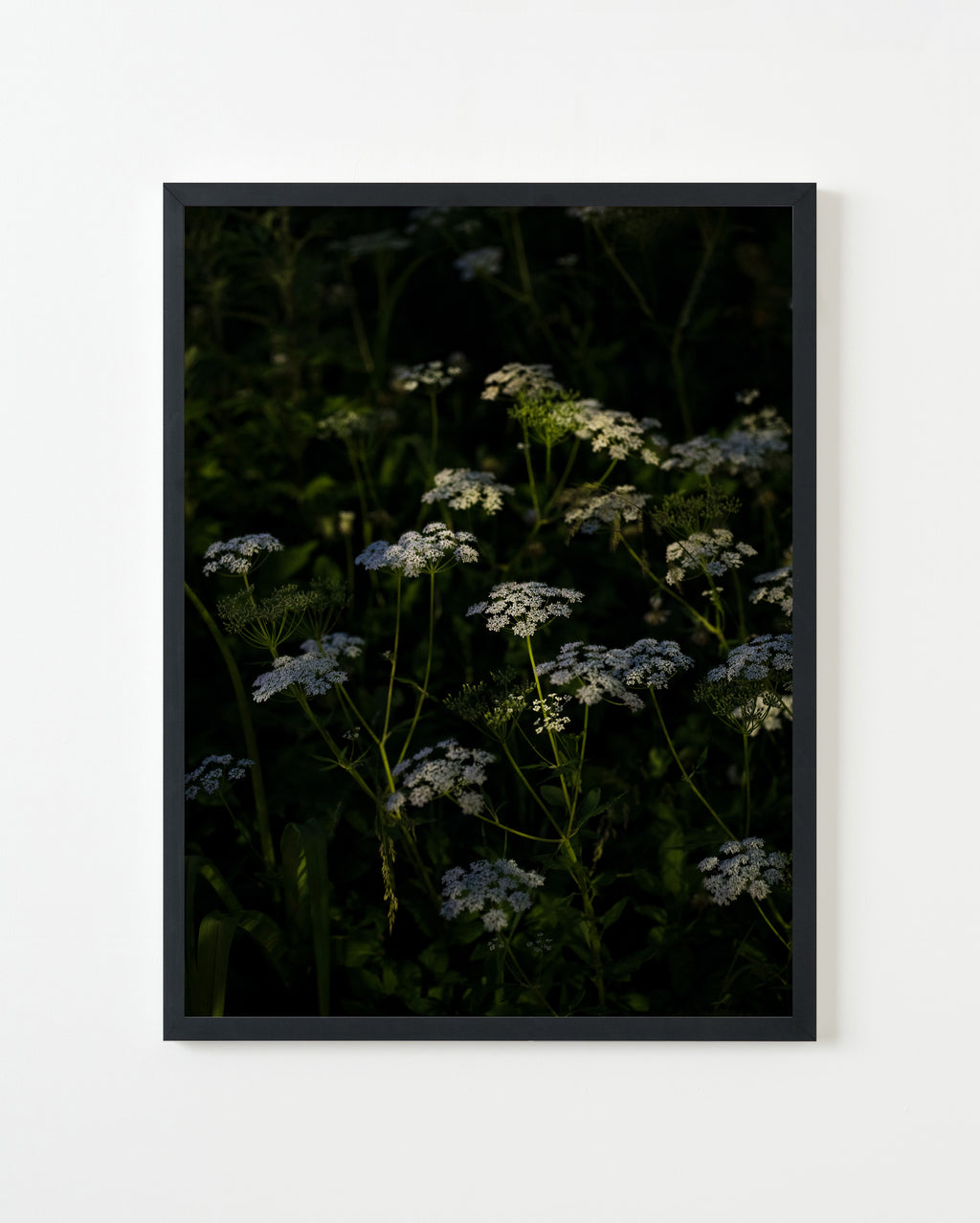 Photography by Anna Beeke titled "Midnight in the Garden #184" - 1.
