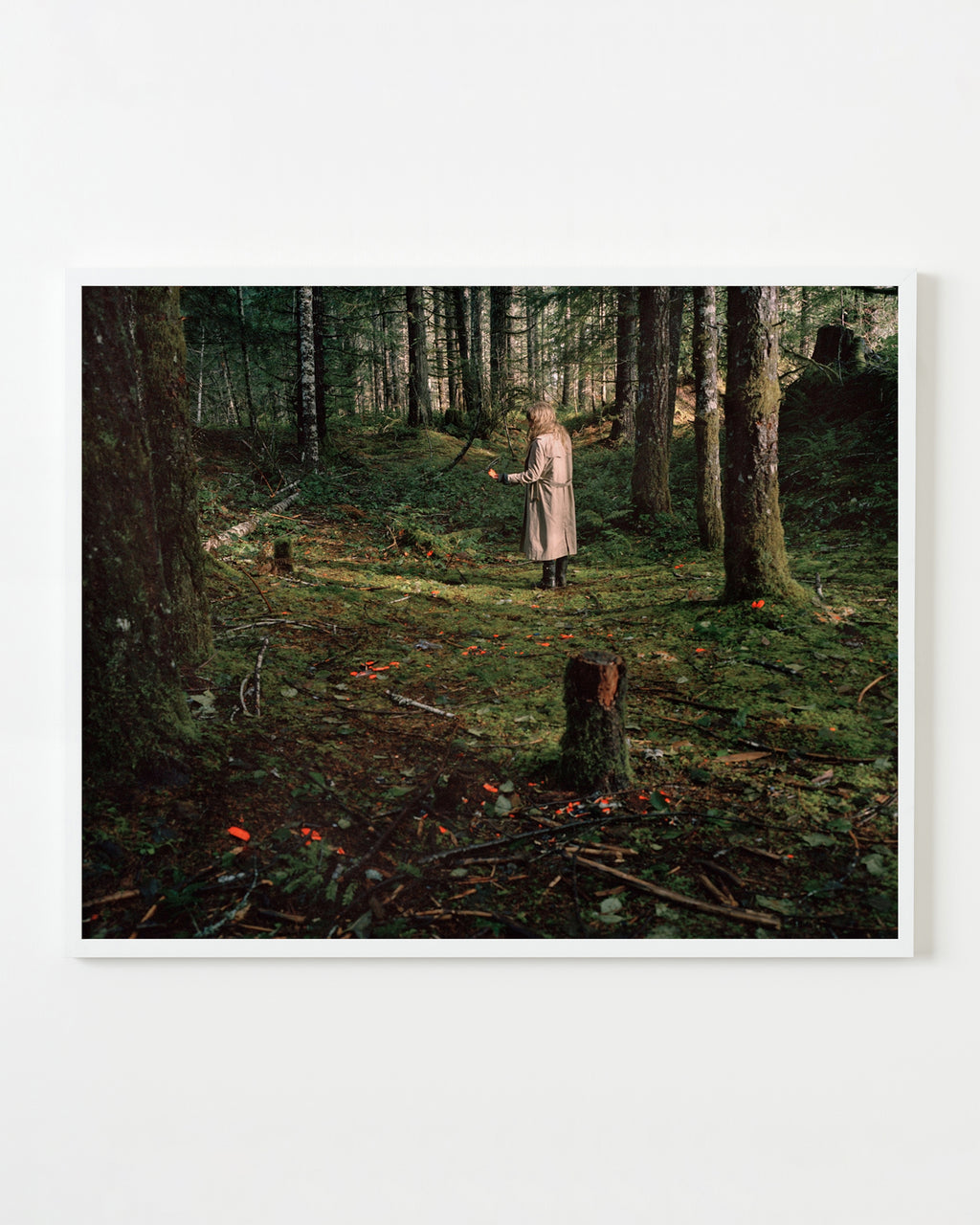 Photography by Anna Beeke titled "Windfall I" - 1.