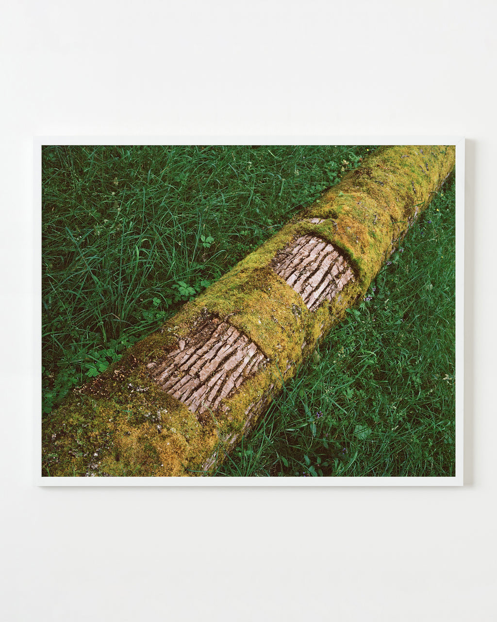 Photography by Anna Beeke titled "Deviant Geometry" - 1.