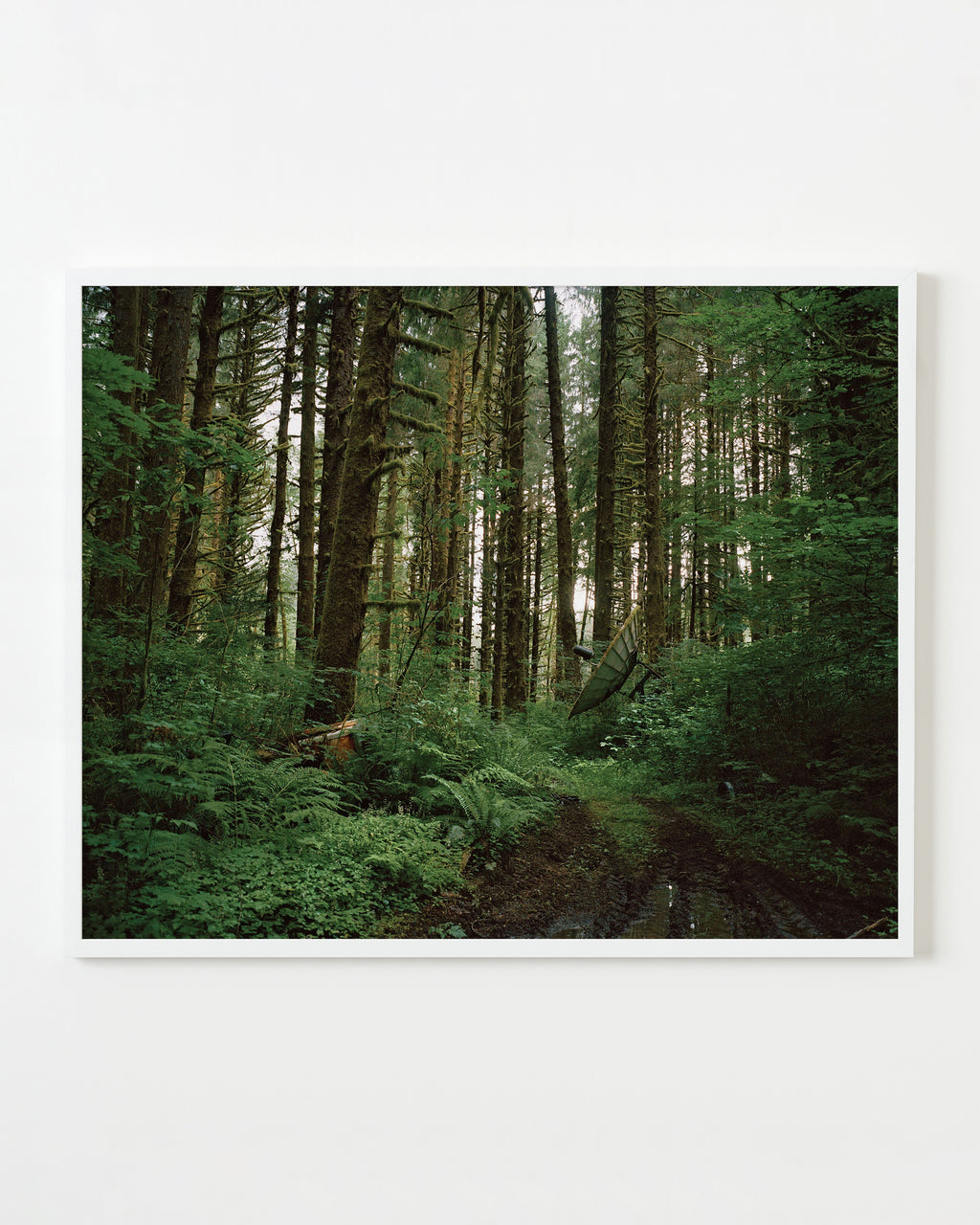 Photography by Anna Beeke titled "Satellite" - 1.