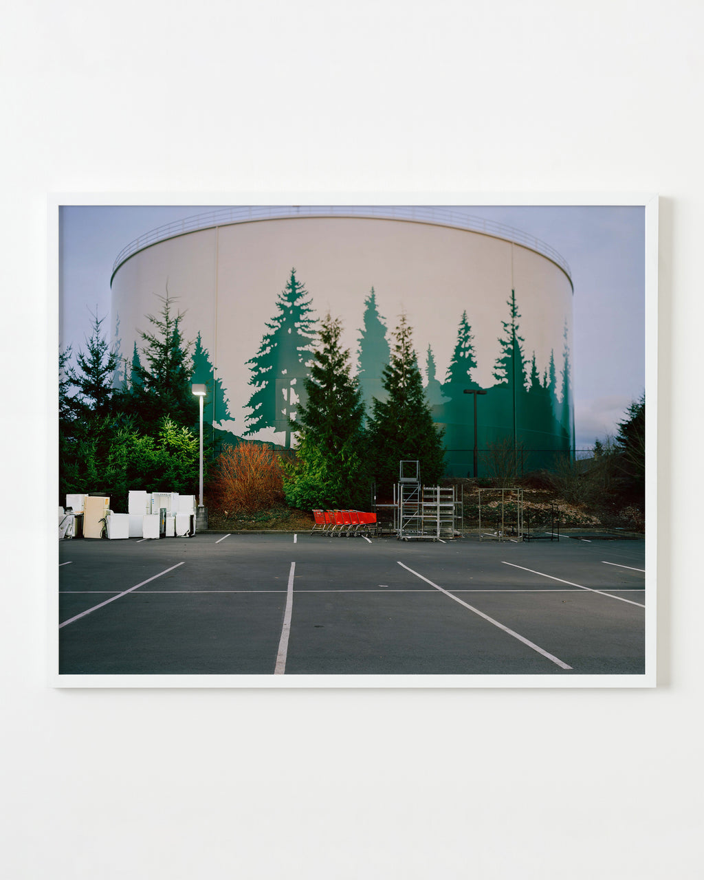 Photography by Anna Beeke titled "Mimic" - 1.
