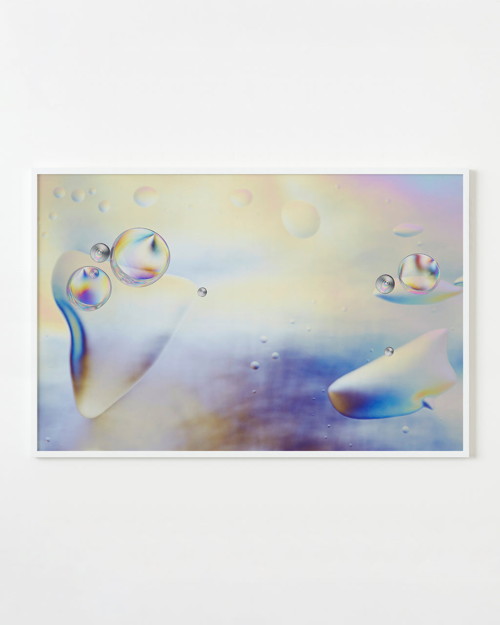 Photography by Martina Lang titled "CC-N48E12.3" - 1.