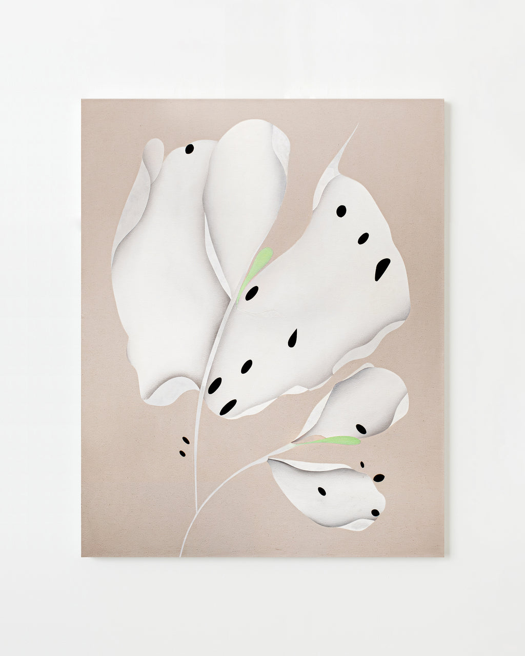 Camp Lucky - Senem Oezdogan