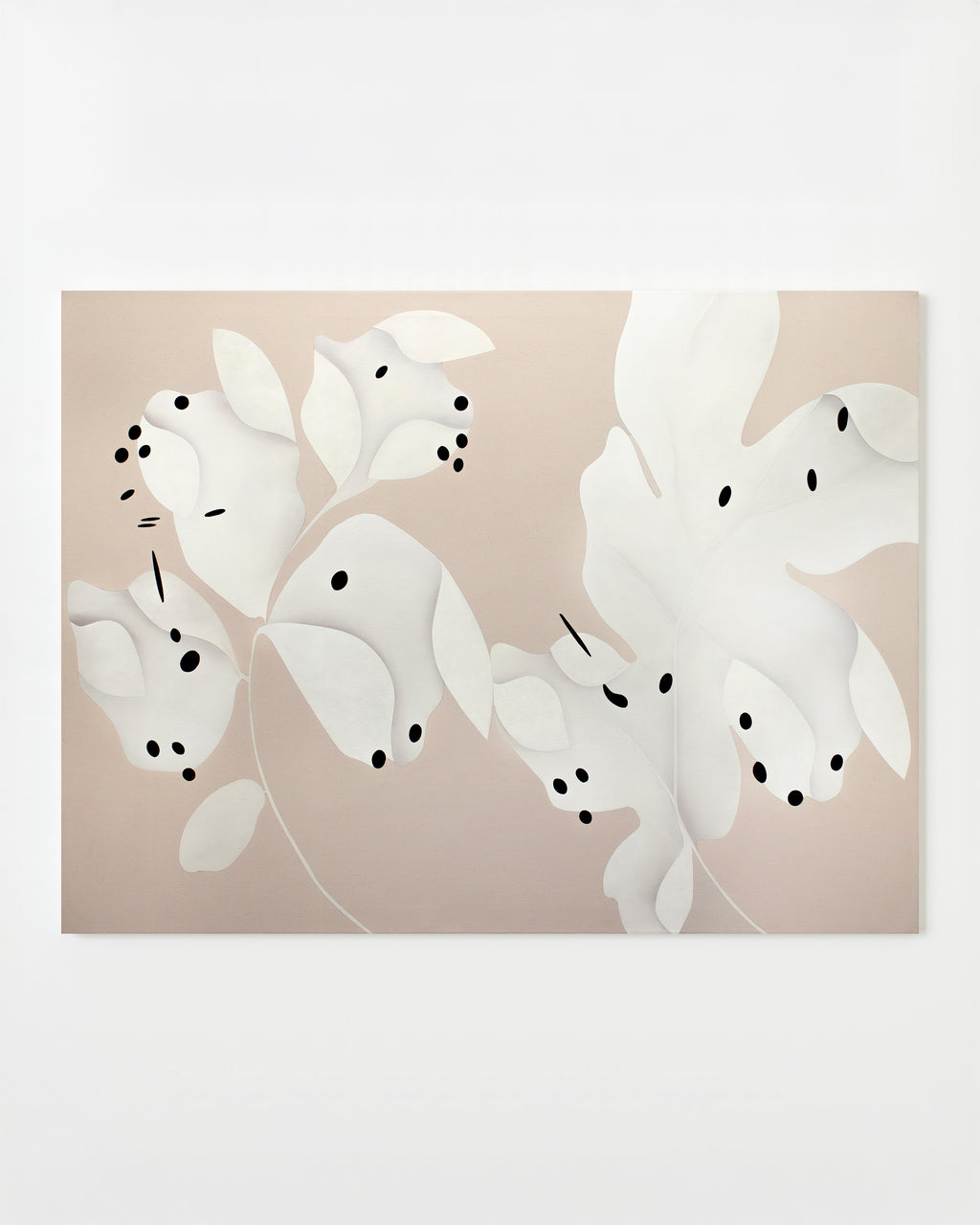 Boomerang - Senem Oezdogan