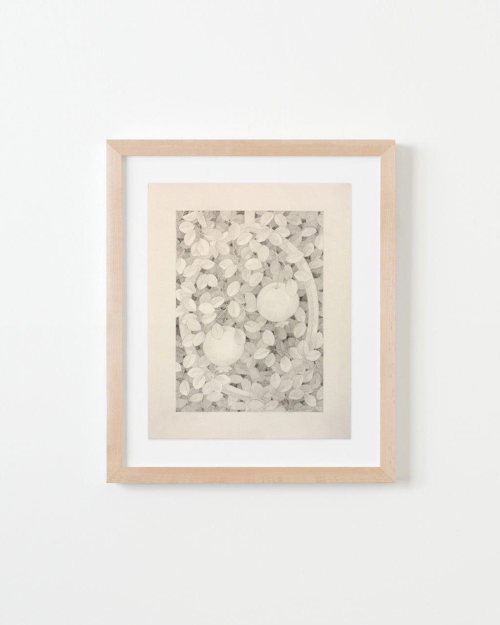 Drawing by Lucía Rodríguez Pérez titled "Untitled (framed pomegranates)" - 1.