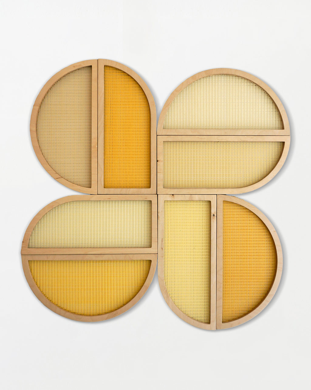 Super Bloom In Yellow - Hayley Sheldon