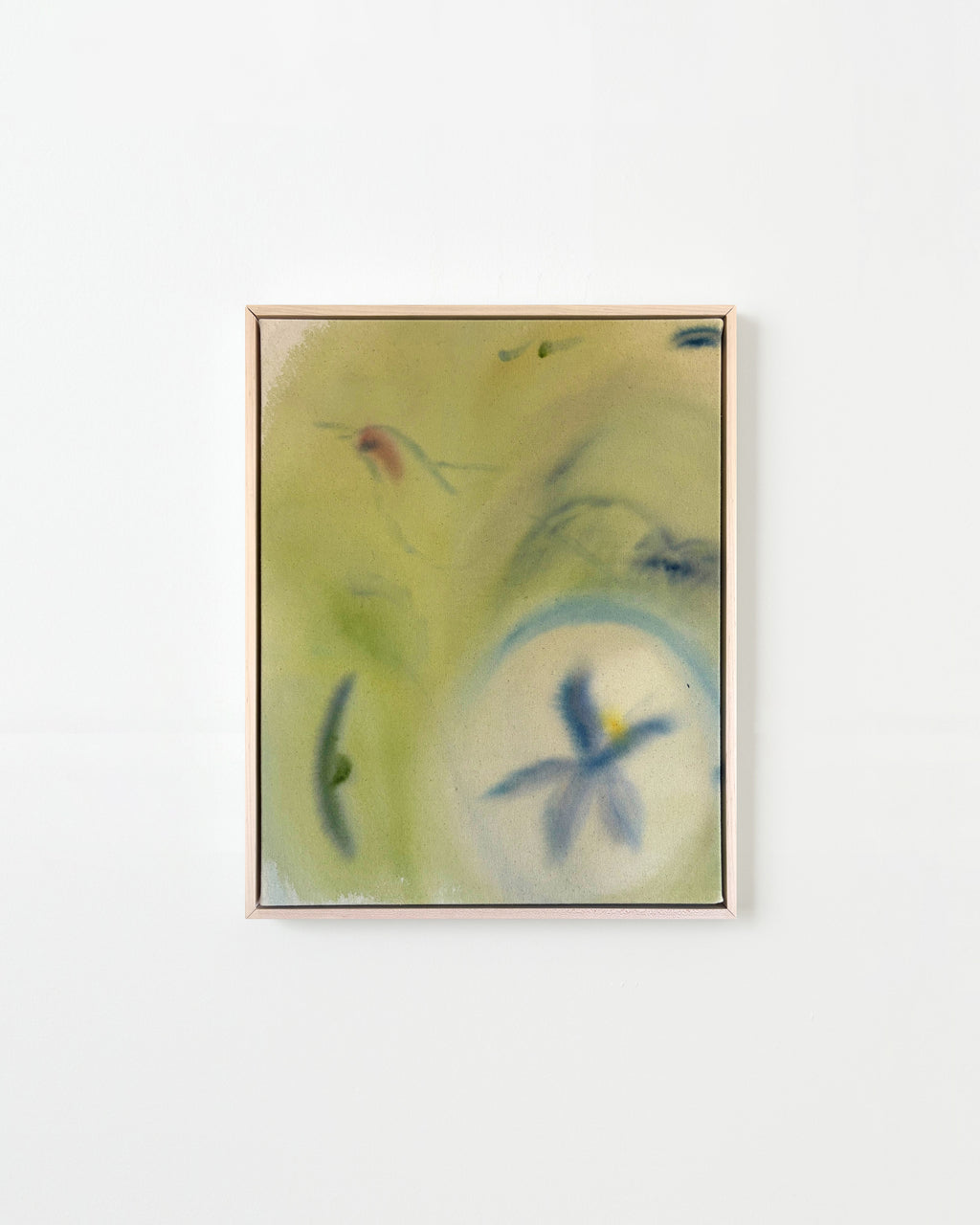 A collection of little memories and a hummingbird - Arlina Cai