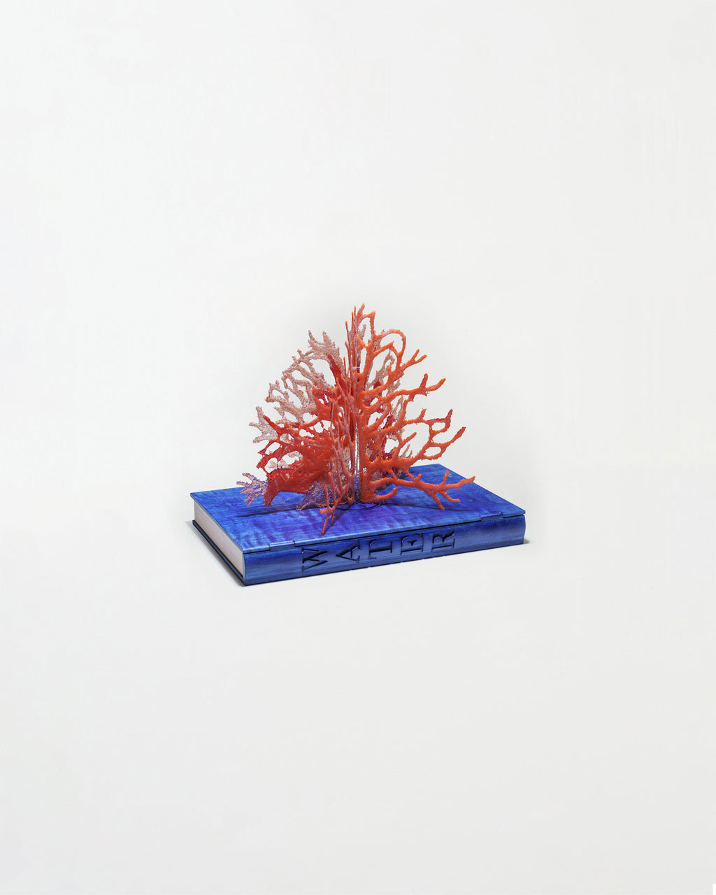 Elements Series: Water - Kate Clements