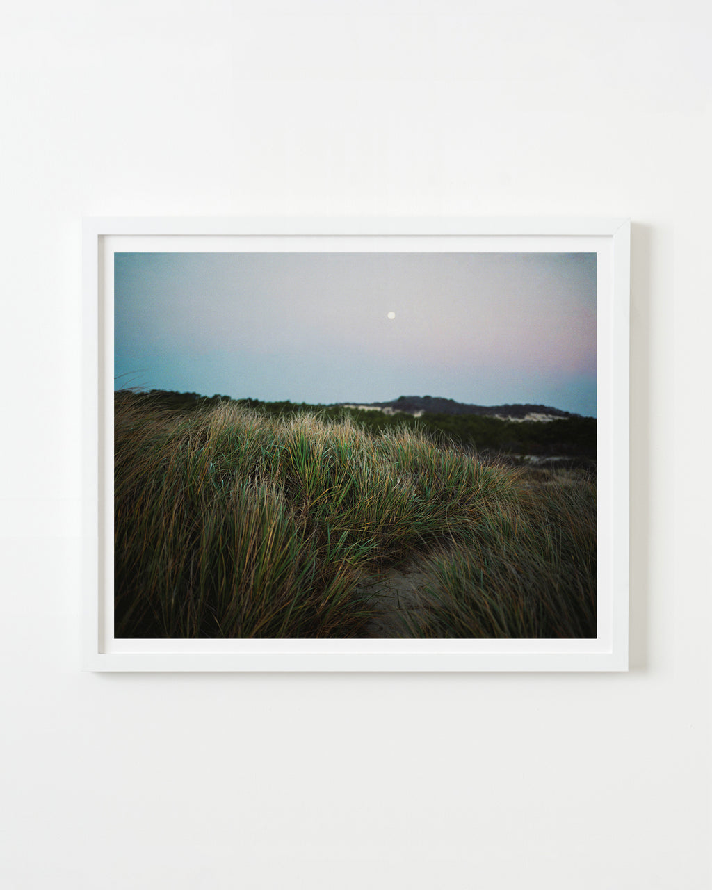 Moonrise on the Dunes - Nick Meyer