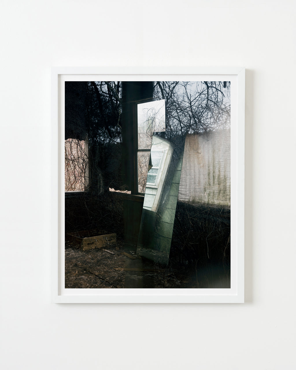 Photography by Nick Meyer titled "Mirror and Windows" - 1.