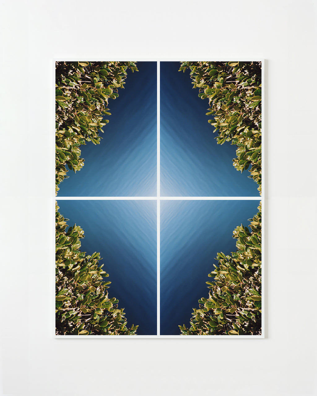 Hedge Diamond #1 - Ryan James MacFarland