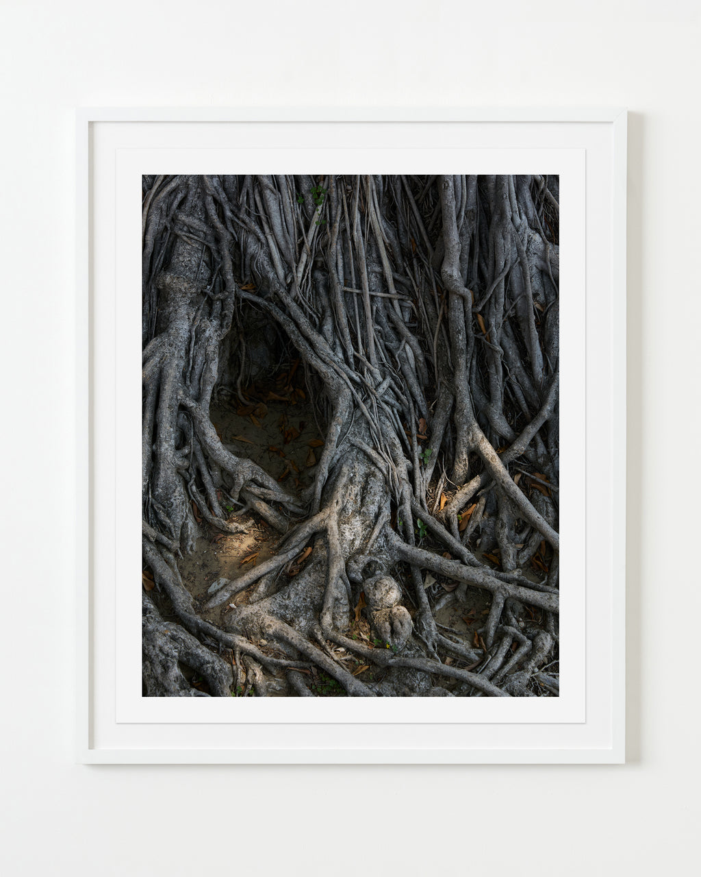 Untitled #1 - Ashok Sinha