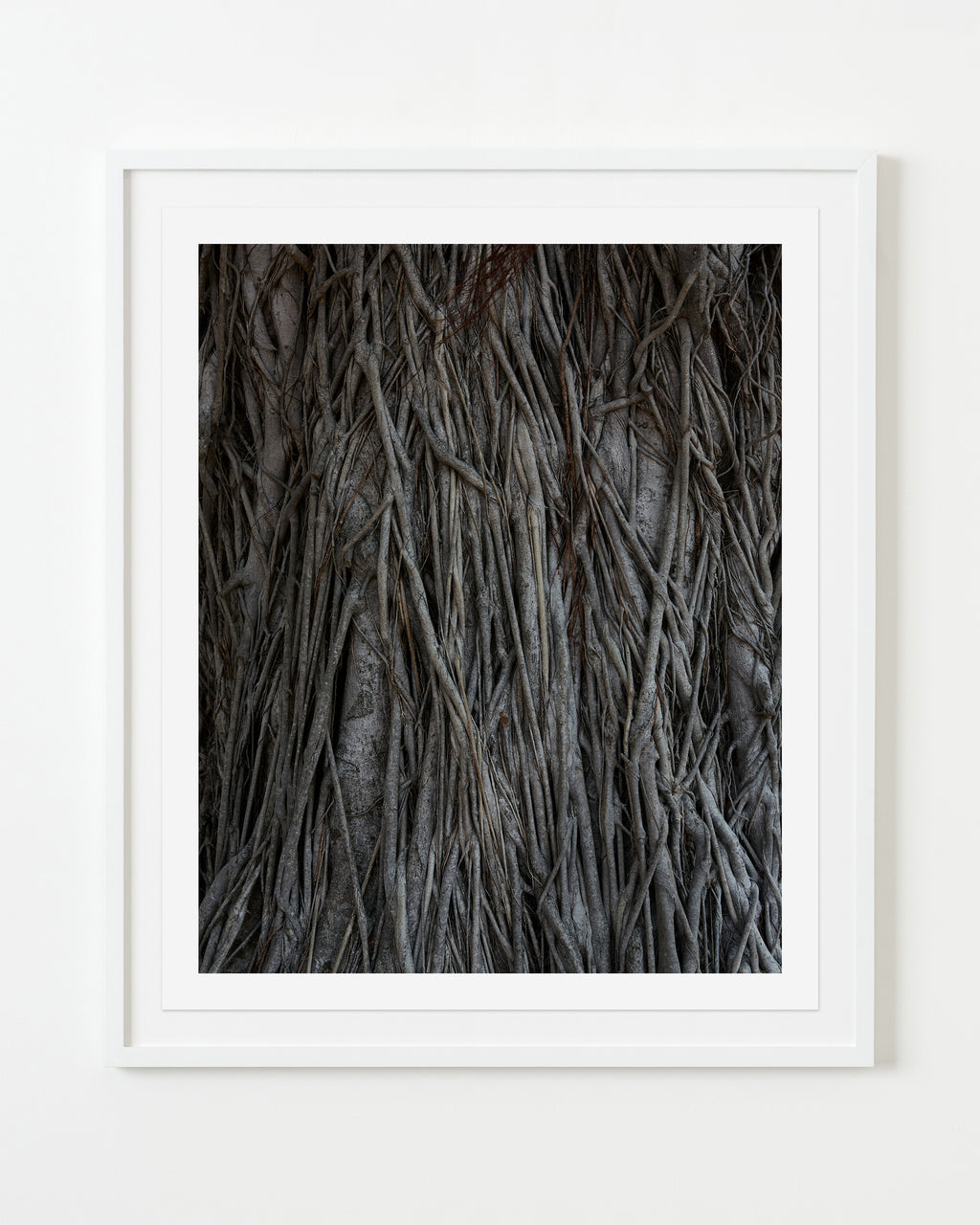 Photography by Ashok Sinha titled "Untitled #2" - 1.