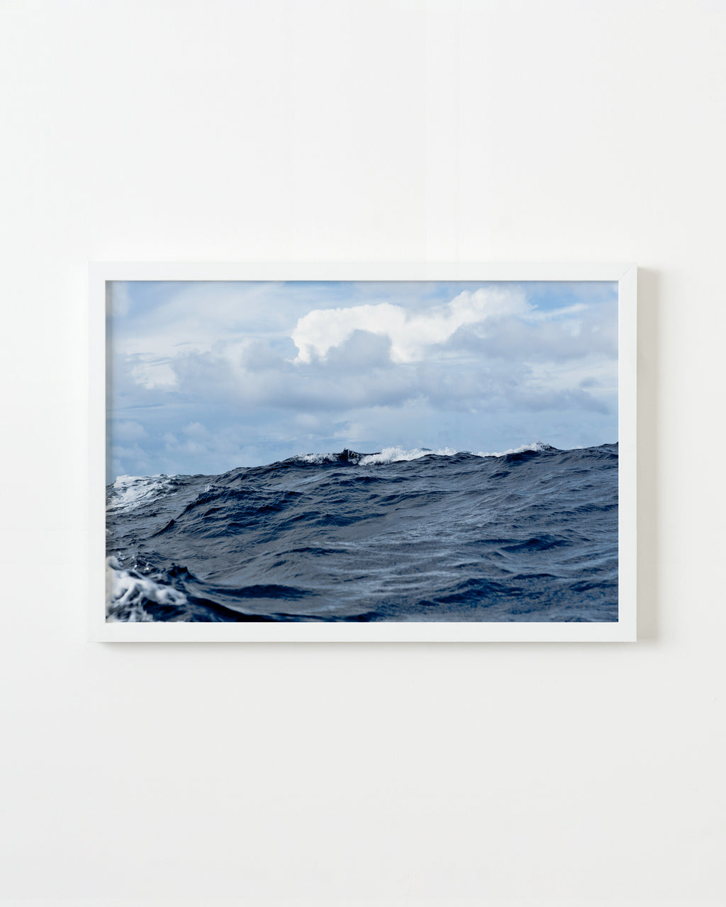Photography by Jessica Haye & Clark Hsiao titled "Trident" - 1.
