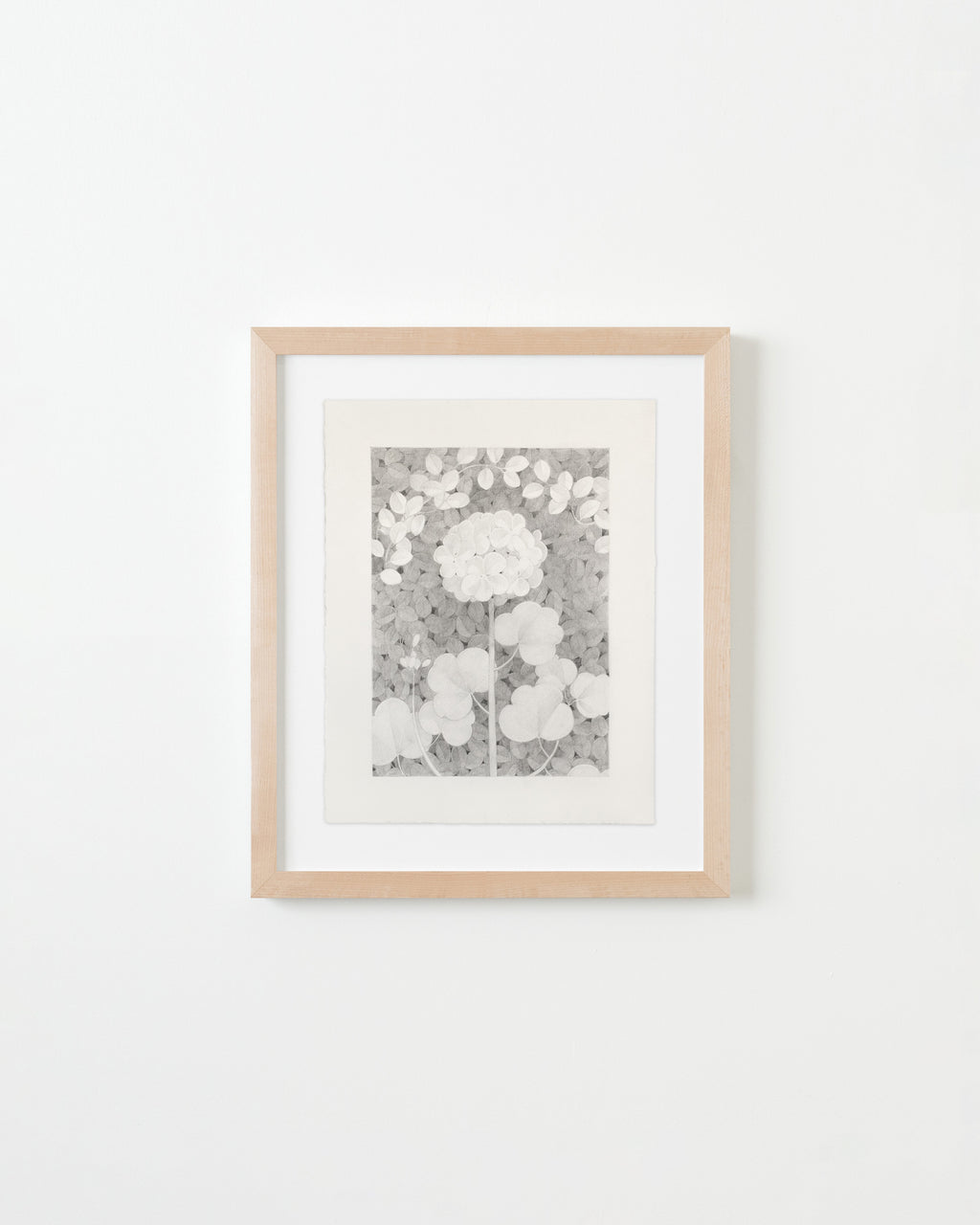 Drawing by Lucía Rodríguez Pérez titled "Untitled (cardenal)" - 1.