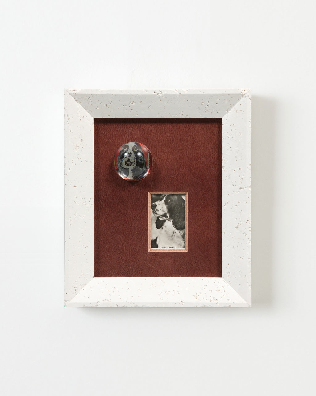 Mixed Media by Ben Skinner titled "Leather Dog Lovers - Spaniel" - 1.