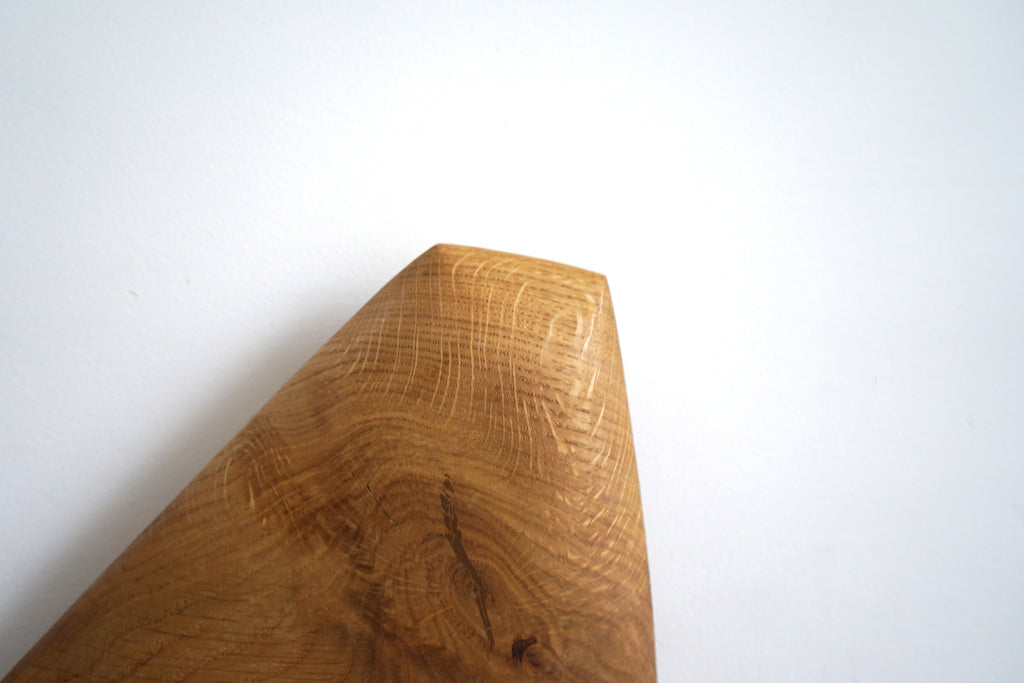 Sculpture by Fitzhugh Karol titled "Wings 11.2023" - 5.