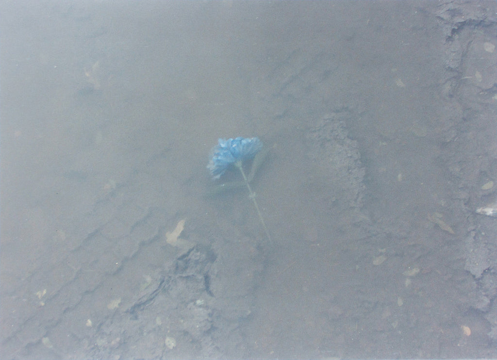 Photography by Ryan James MacFarland titled "Untitled 11" - 2.