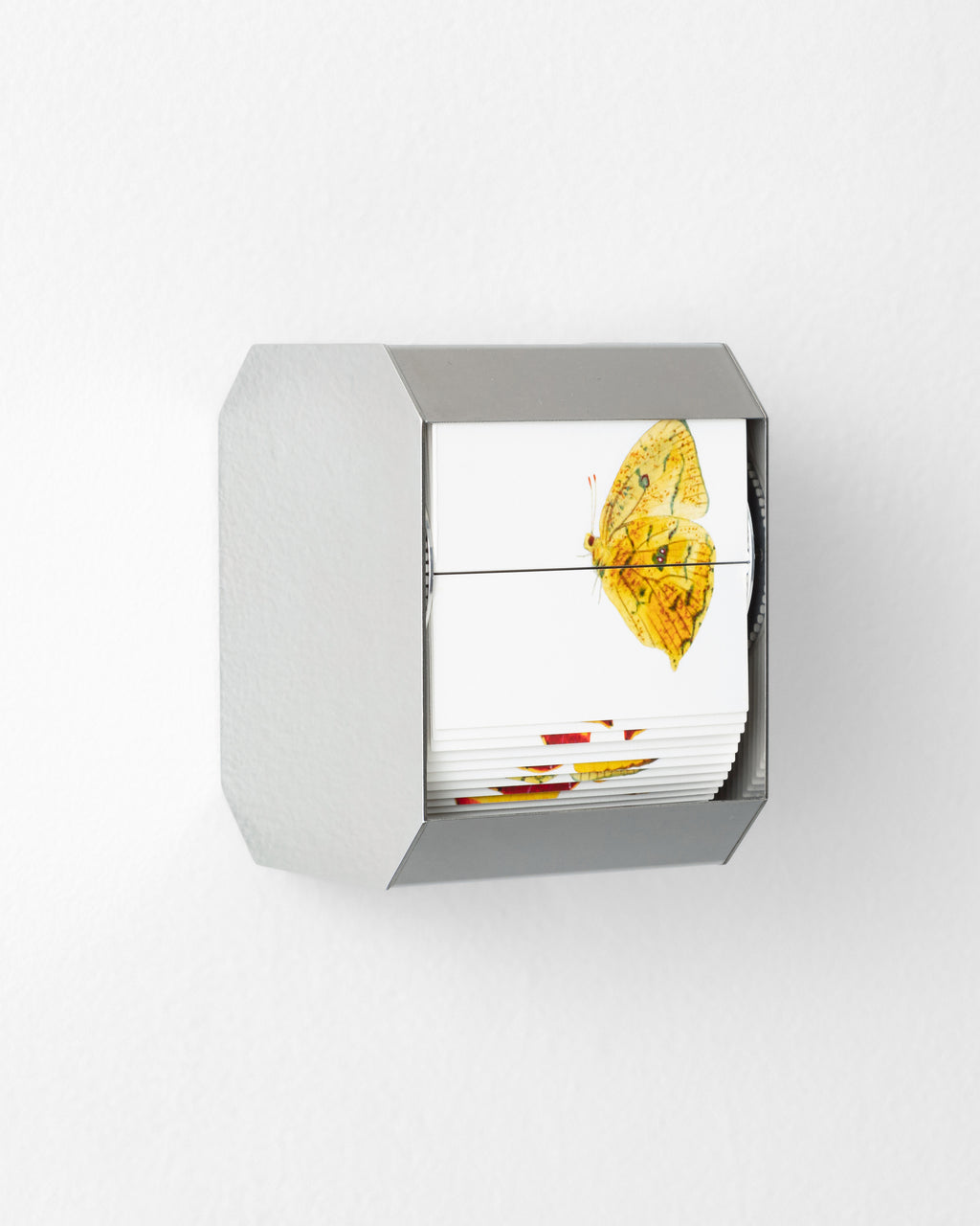 Sculpture by J.C. Fontanive titled "Orange-Barred Sulphur" - 3.