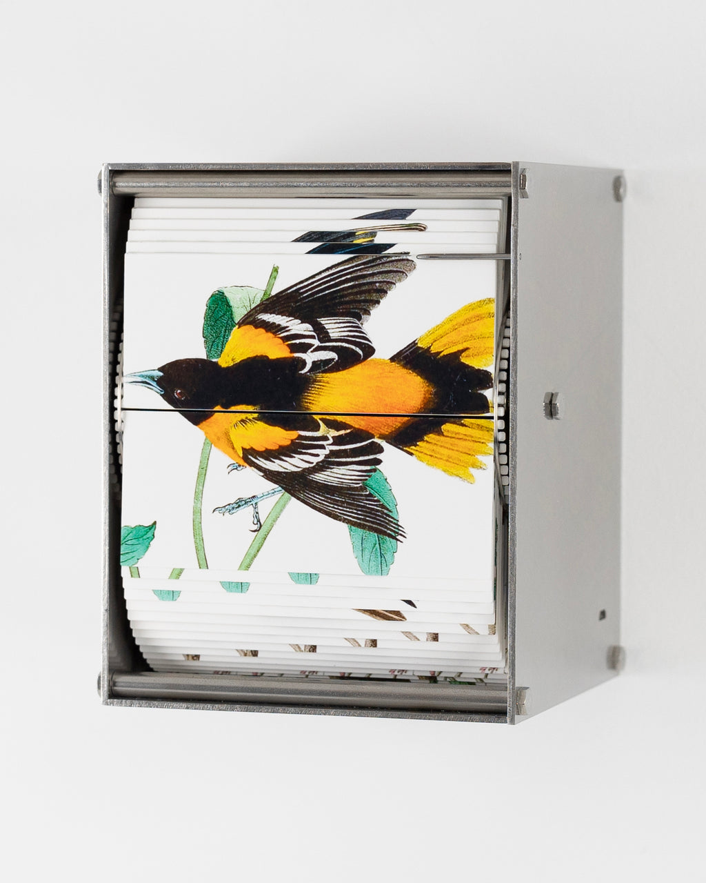Sculpture by J.C. Fontanive titled "Ornithology (Passerine)" - 2.