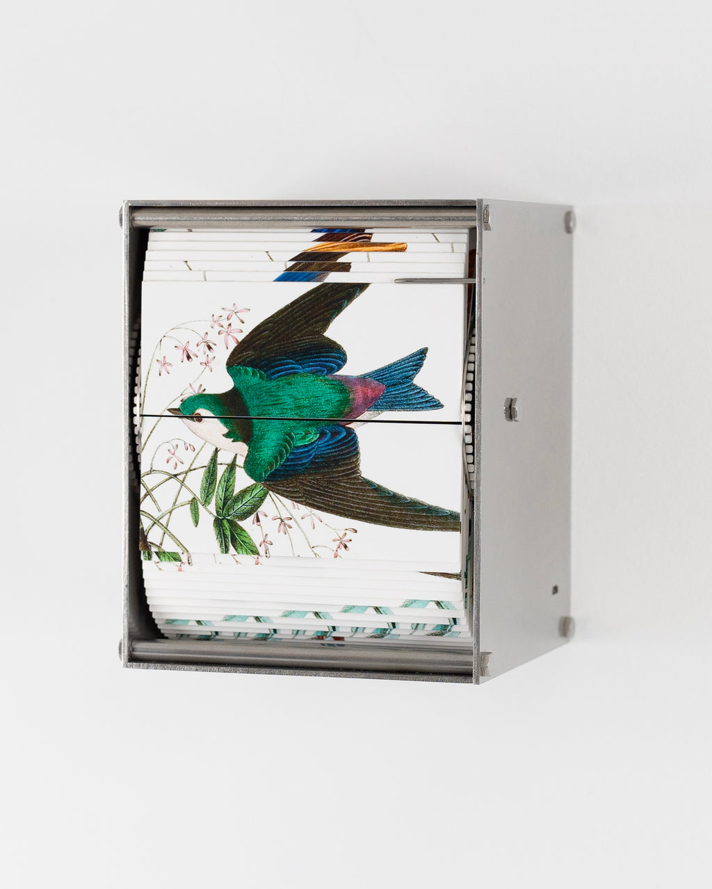 Sculpture by J.C. Fontanive titled "Ornithology (Passerine)" - 3.