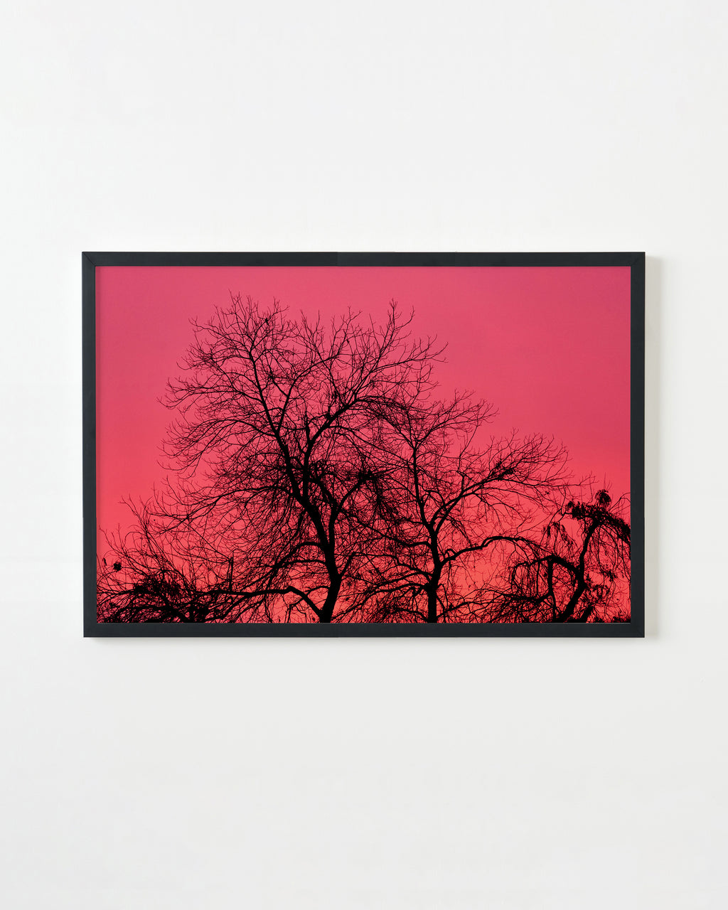 Photography by Jessica Haye & Clark Hsiao titled "Aldama Sky" - 3.