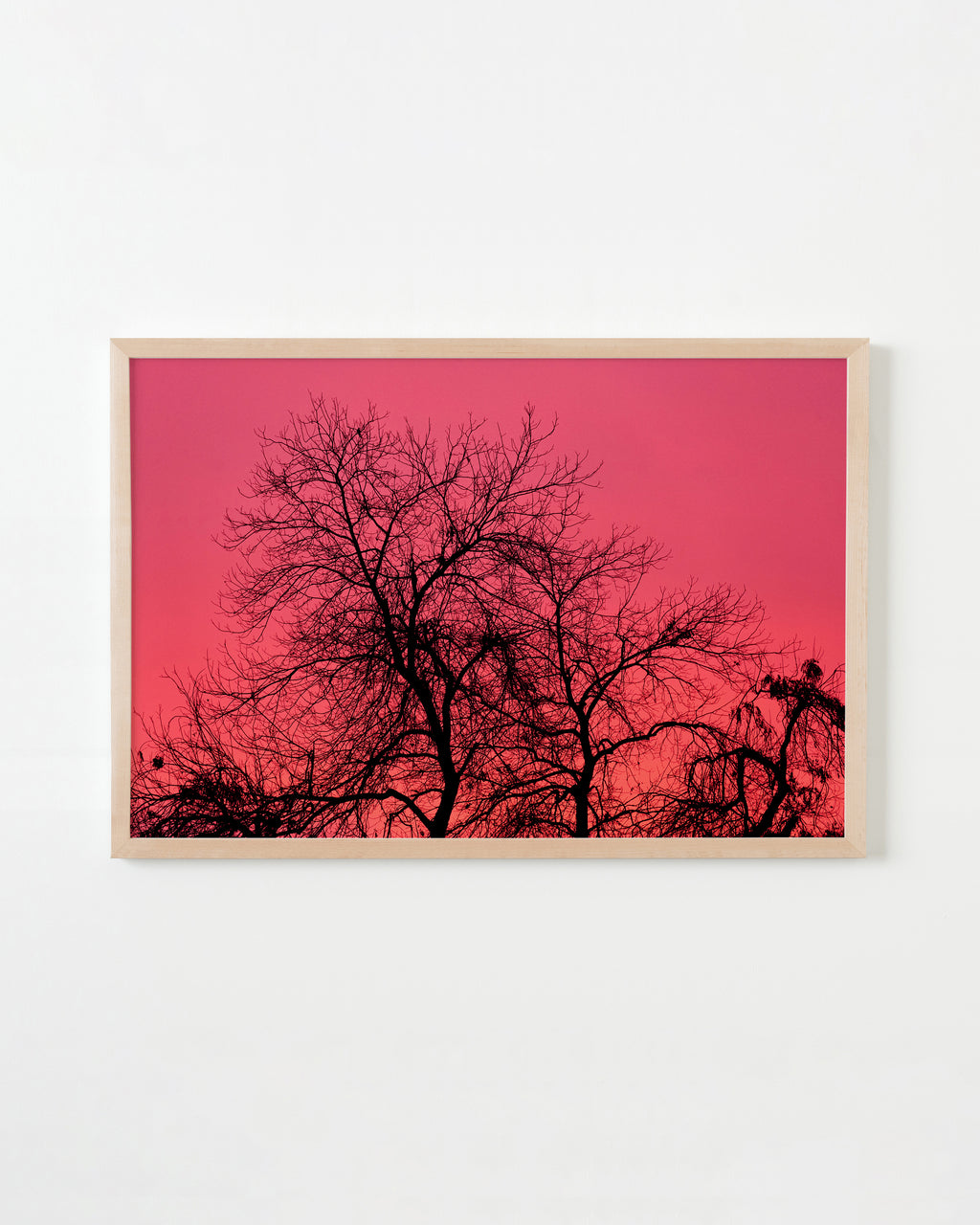 Photography by Jessica Haye & Clark Hsiao titled "Aldama Sky" - 4.