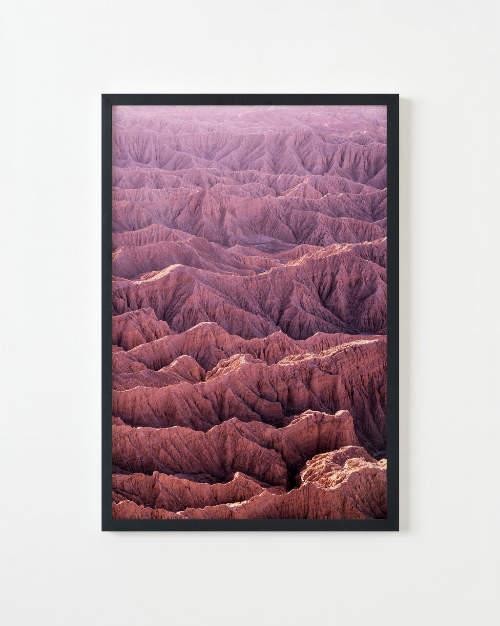 Photography by Jessica Haye & Clark Hsiao titled "Anza Borrego" - 3.