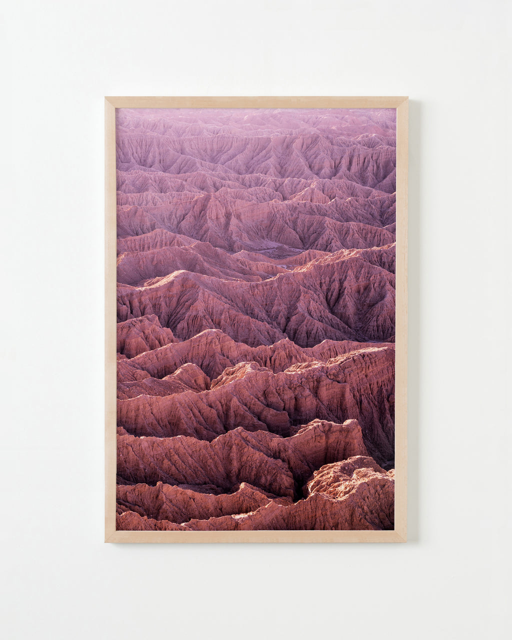 Photography by Jessica Haye & Clark Hsiao titled "Anza Borrego" - 4.