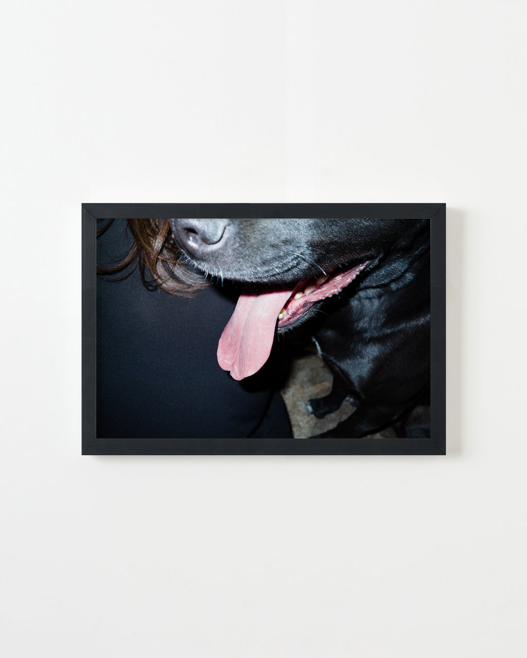 Photography by Jessica Haye & Clark Hsiao titled "Apollo" - 3.