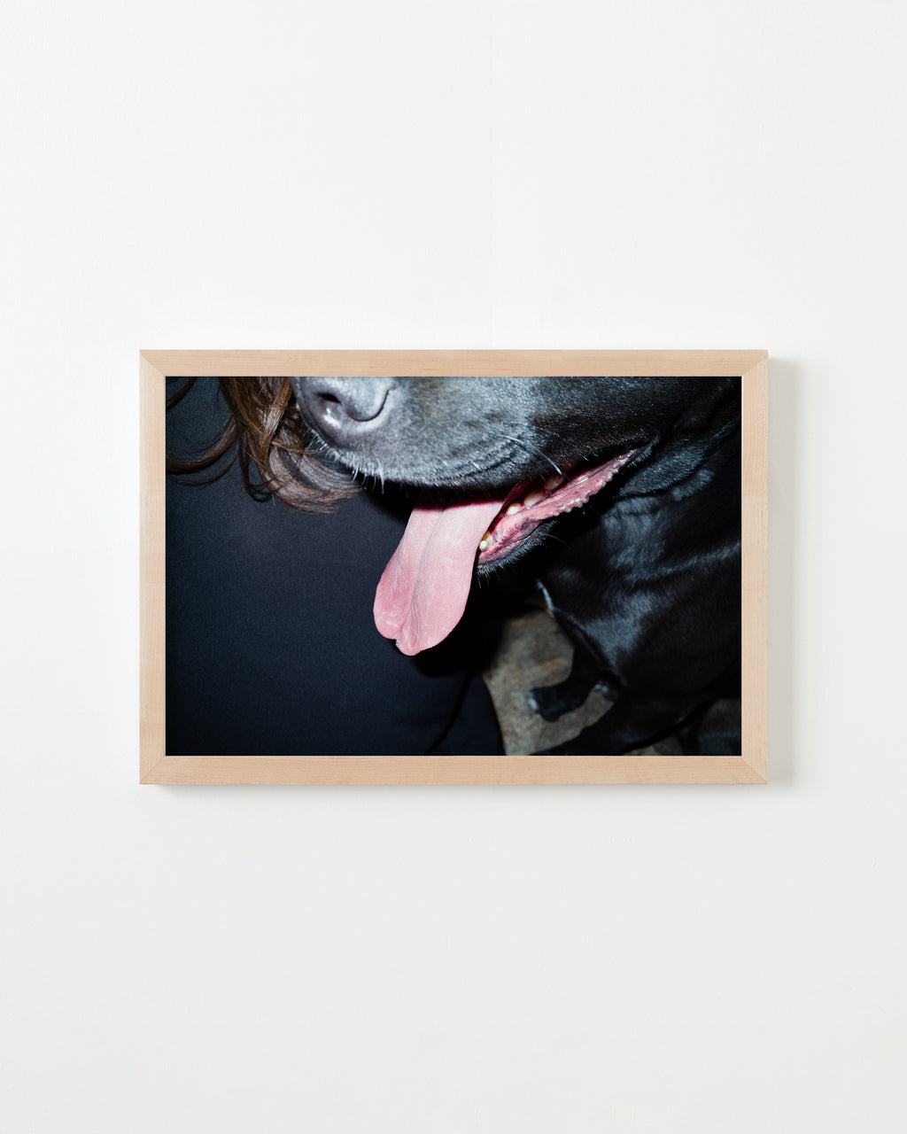 Photography by Jessica Haye & Clark Hsiao titled "Apollo" - 4.