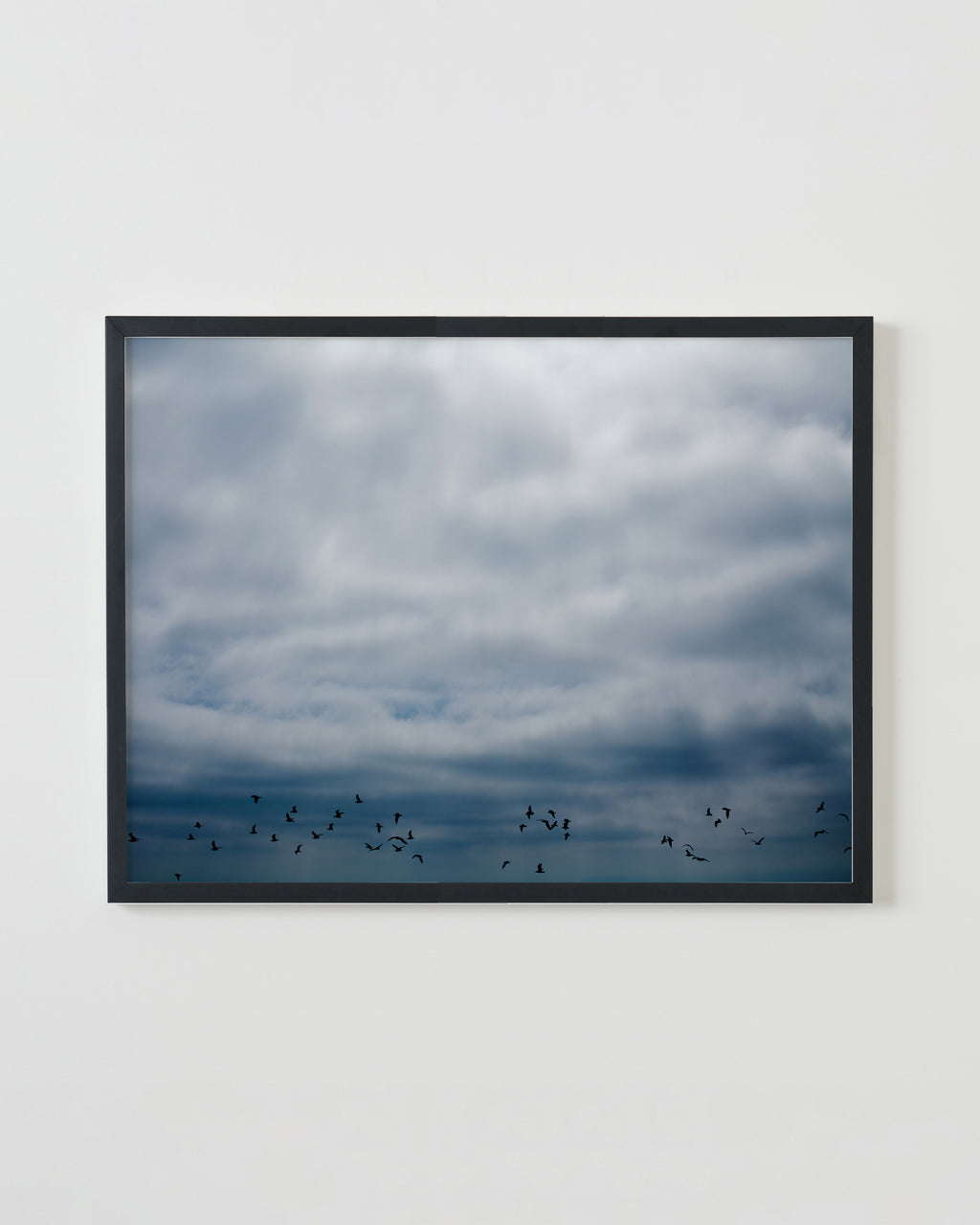 Photography by Jessica Haye & Clark Hsiao titled "Flock" - 3.