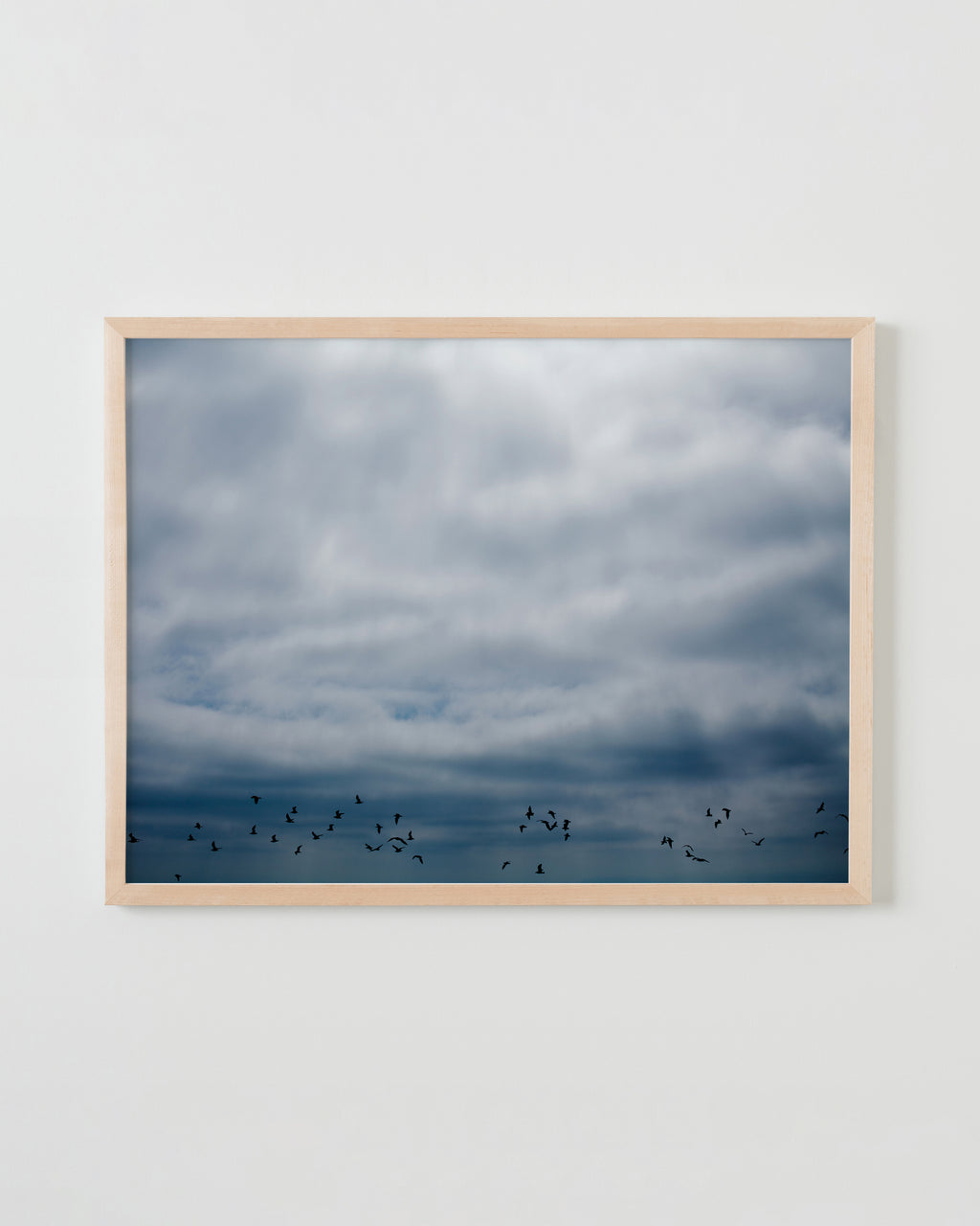 Photography by Jessica Haye & Clark Hsiao titled "Flock" - 4.