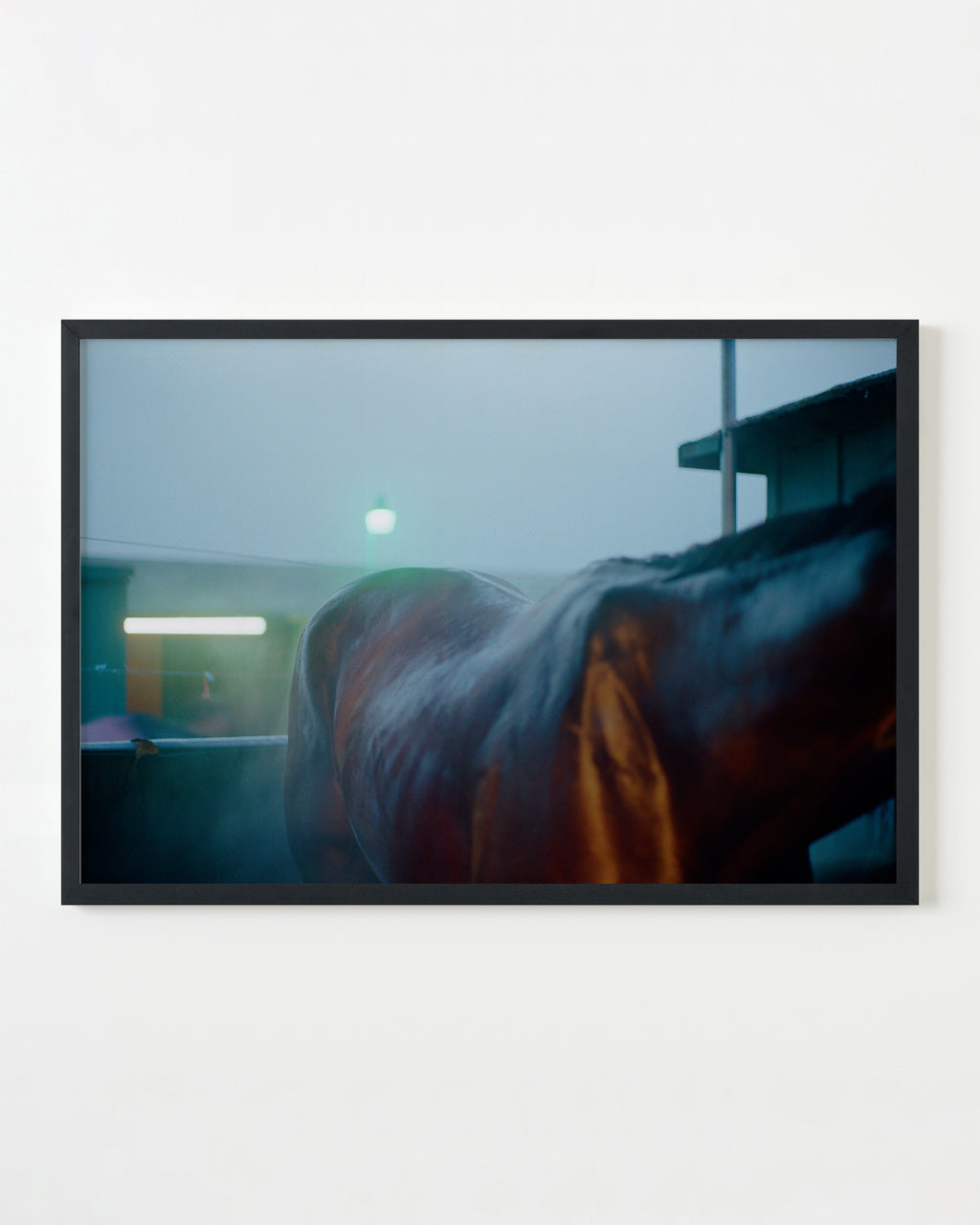 Photography by Jessica Haye & Clark Hsiao titled "Fluorescent Horse" - 3.