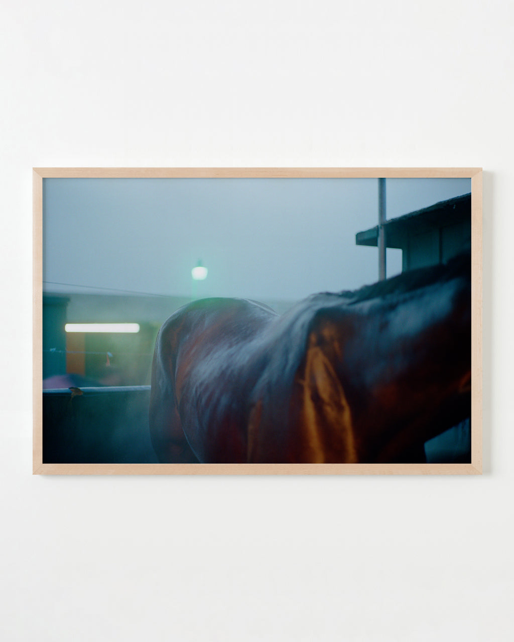 Photography by Jessica Haye & Clark Hsiao titled "Fluorescent Horse" - 4.