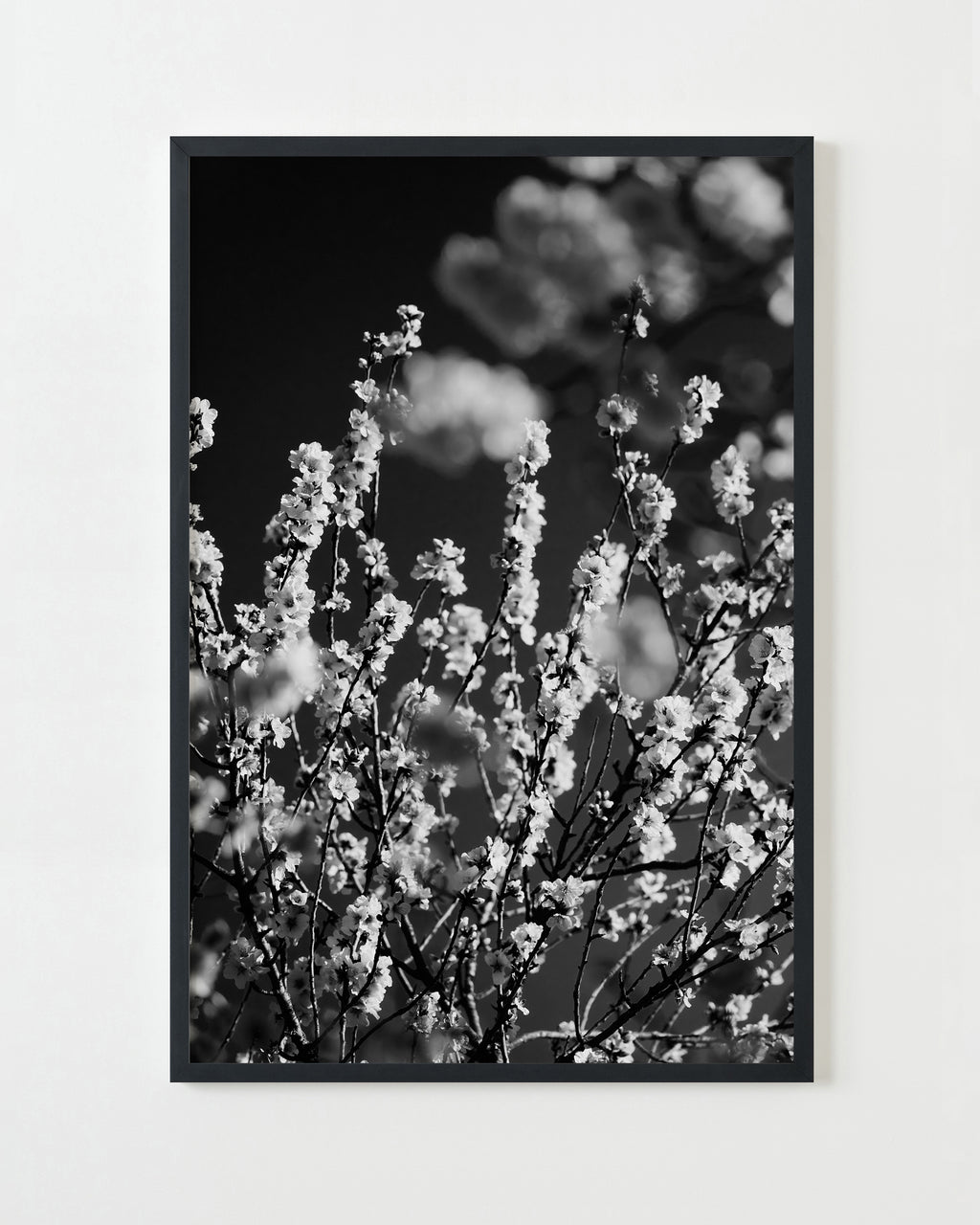 Photography by Jessica Haye & Clark Hsiao titled "Glen Ellen I" - 3.