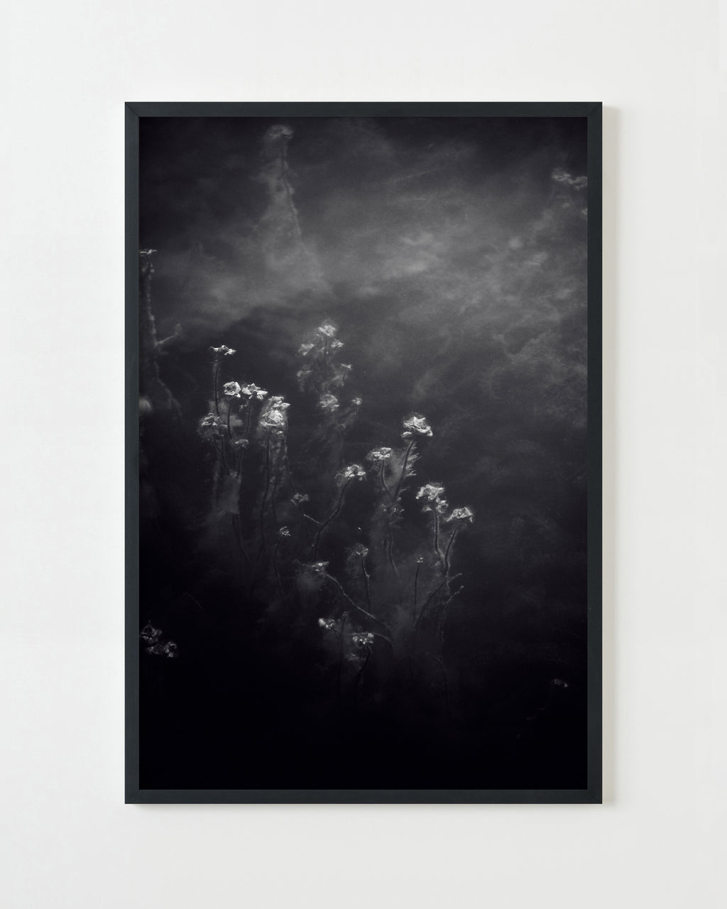 Photography by Jessica Haye & Clark Hsiao titled "Glen Ellen II" - 3.