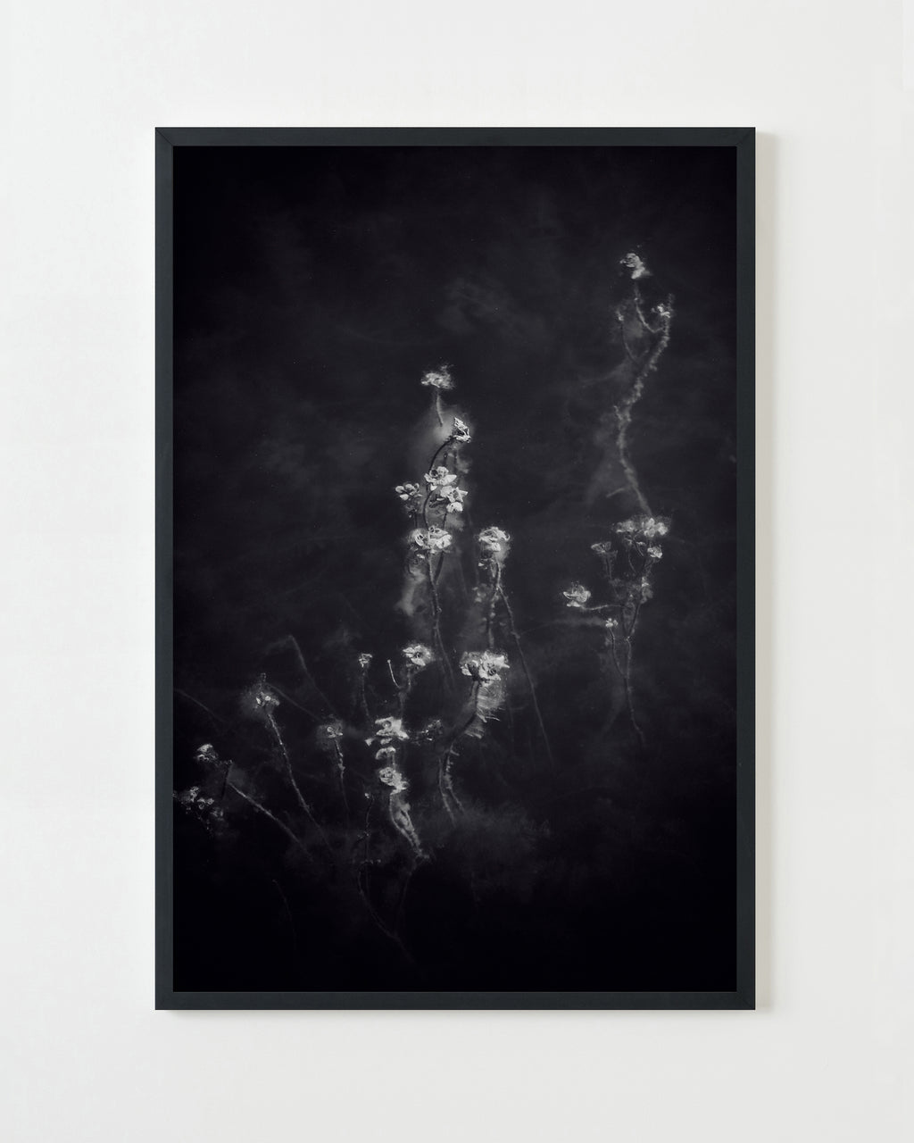 Photography by Jessica Haye & Clark Hsiao titled "Glen Ellen III" - 3.