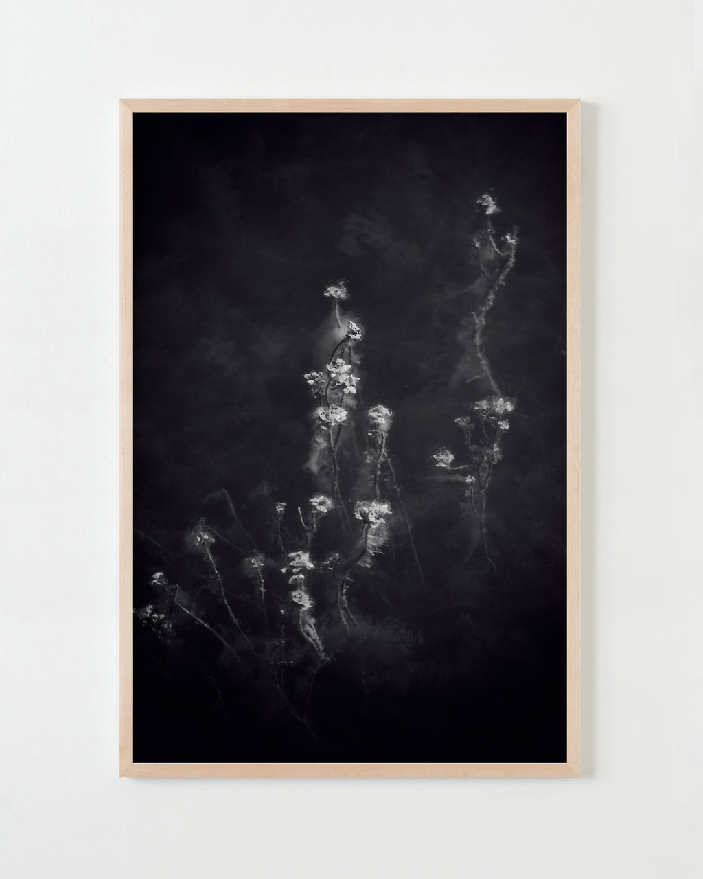 Photography by Jessica Haye & Clark Hsiao titled "Glen Ellen III" - 4.