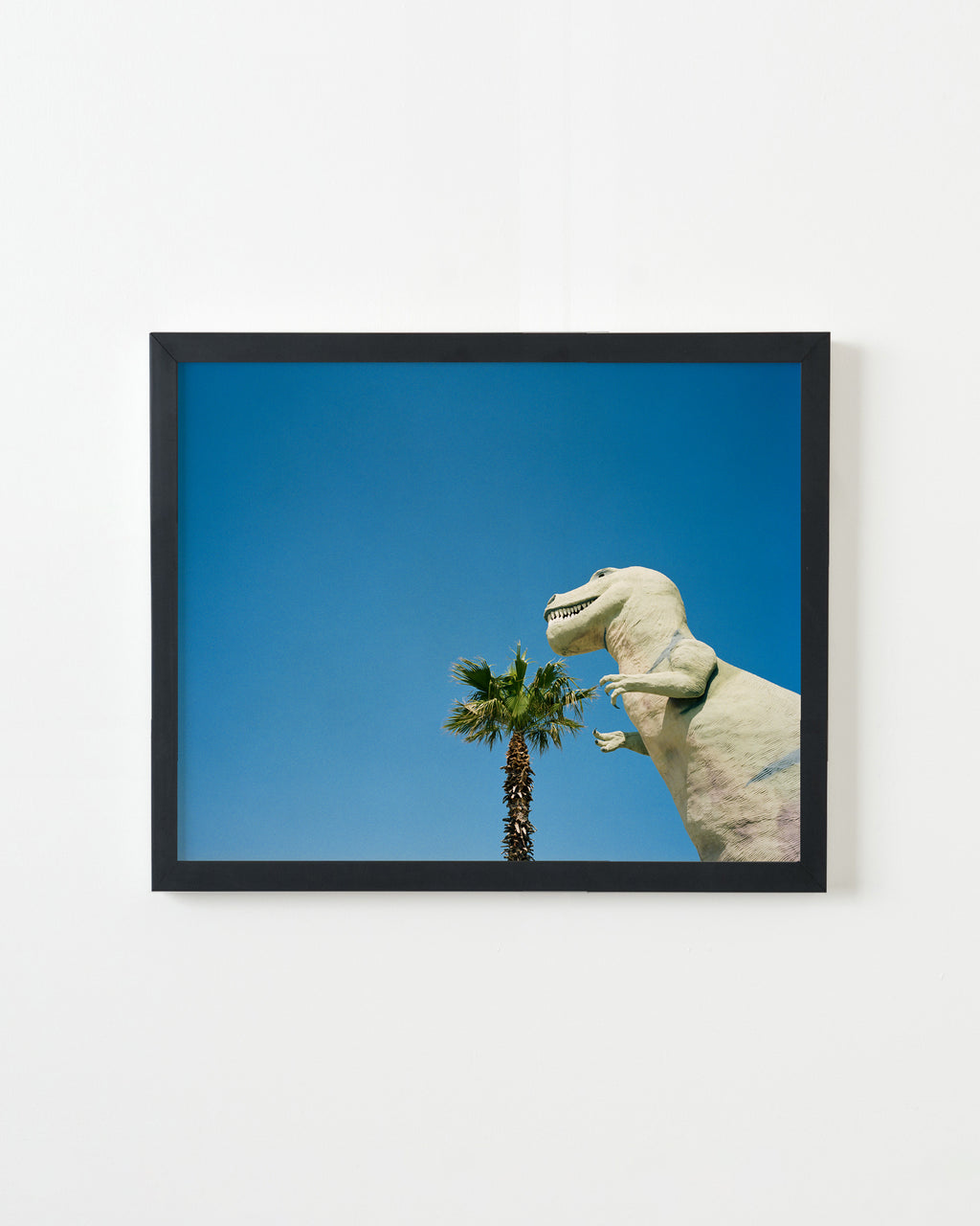 Photography by Jessica Haye & Clark Hsiao titled "History" - 3.