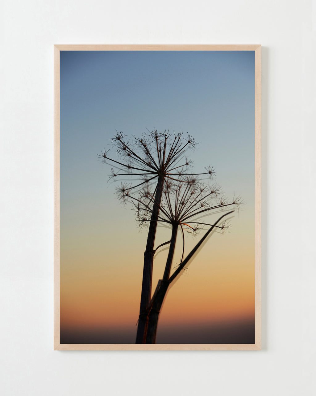 Photography by Jessica Haye & Clark Hsiao titled "Jenner II" - 4.