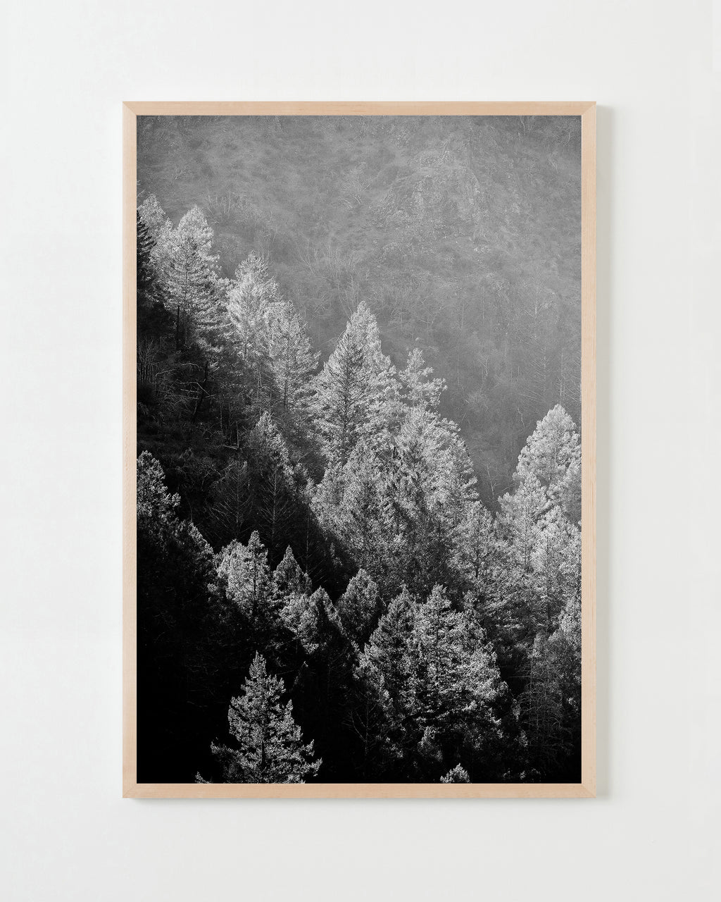 Photography by Jessica Haye & Clark Hsiao titled "Kenwood I" - 4.