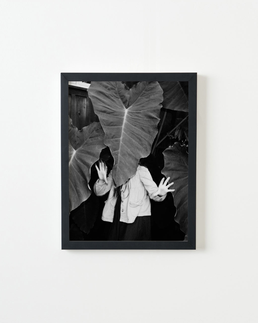 Photography by Jessica Haye & Clark Hsiao titled "Leaf Head" - 3.