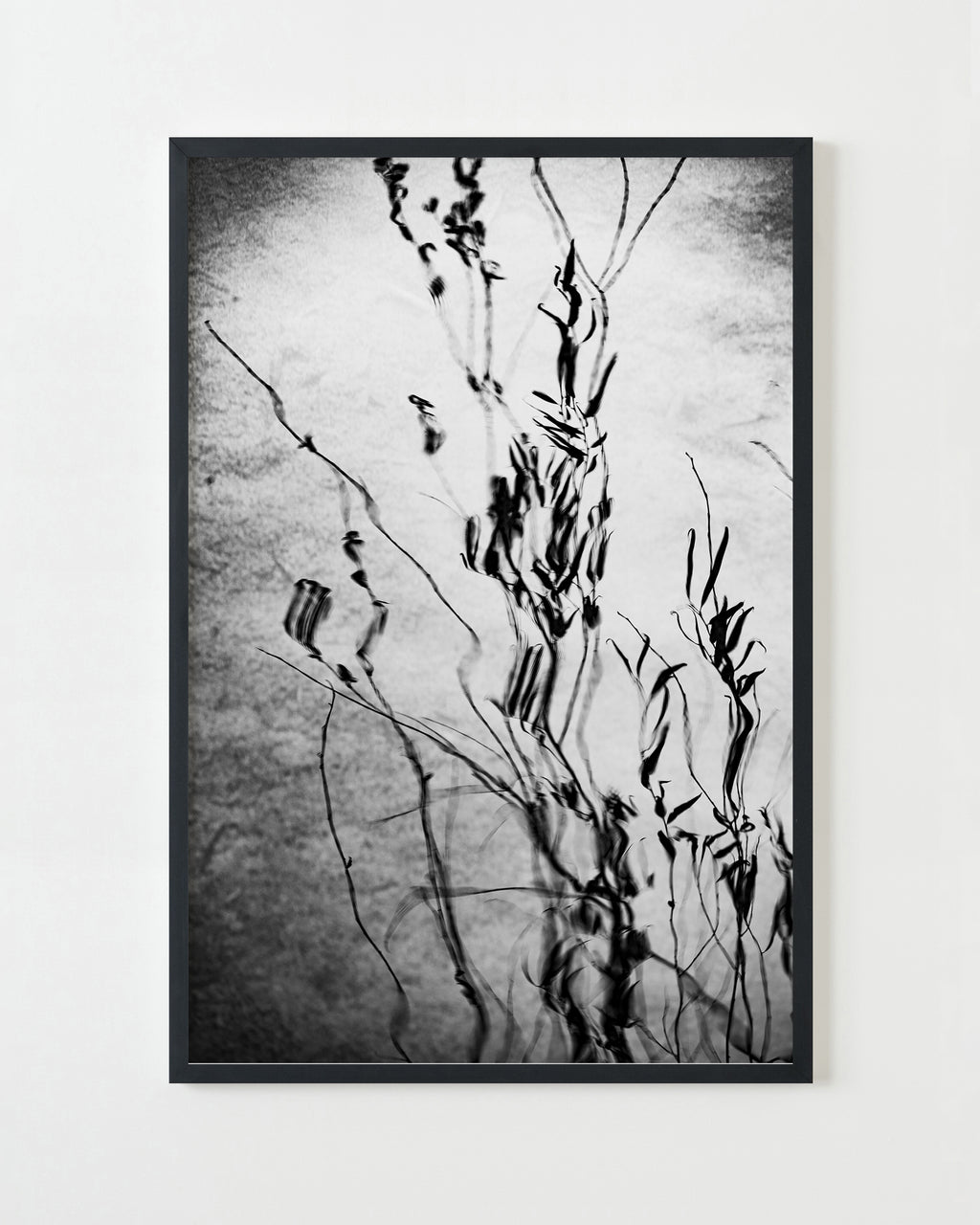 Photography by Jessica Haye & Clark Hsiao titled "San Marino III" - 3.