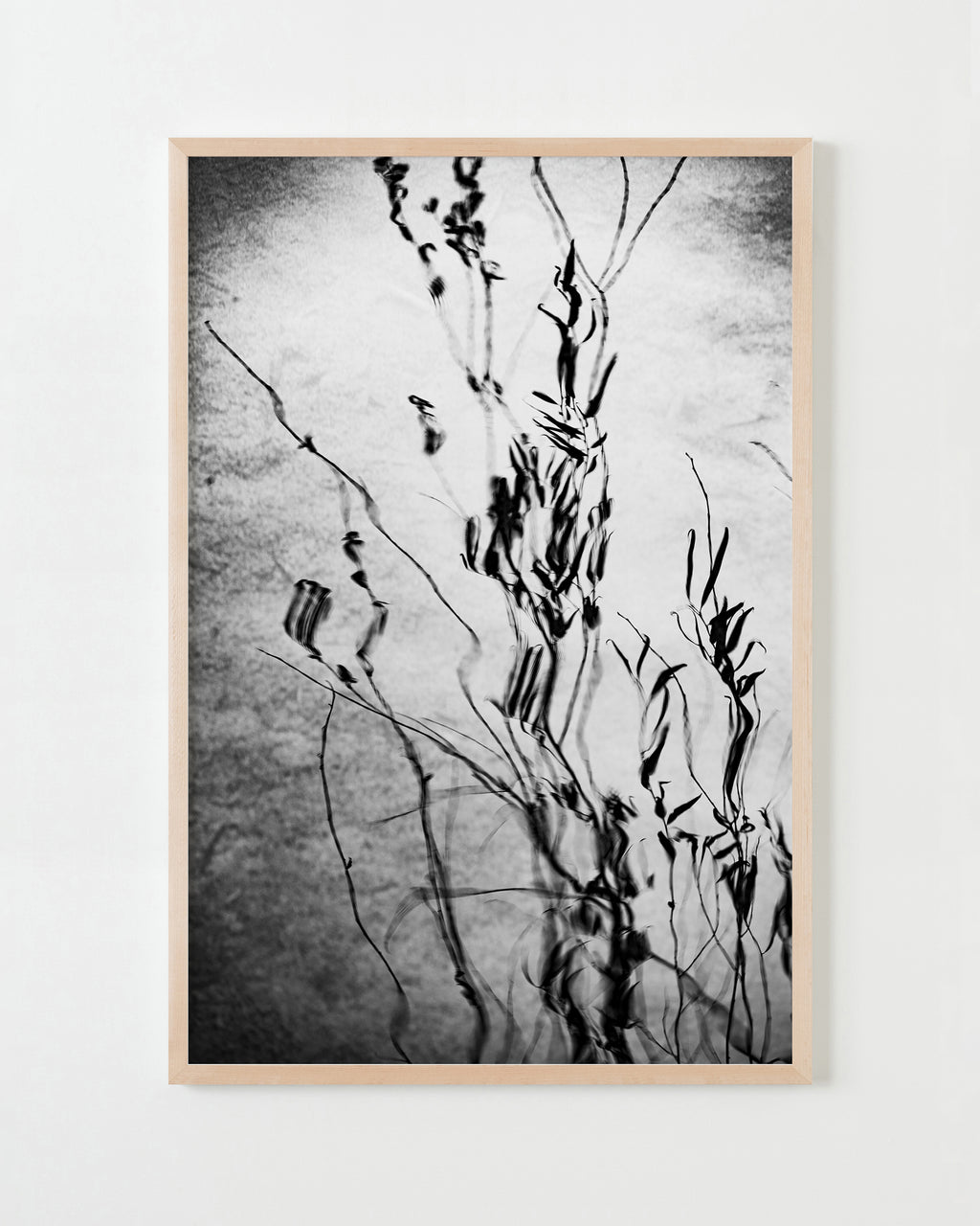 Photography by Jessica Haye & Clark Hsiao titled "San Marino III" - 4.